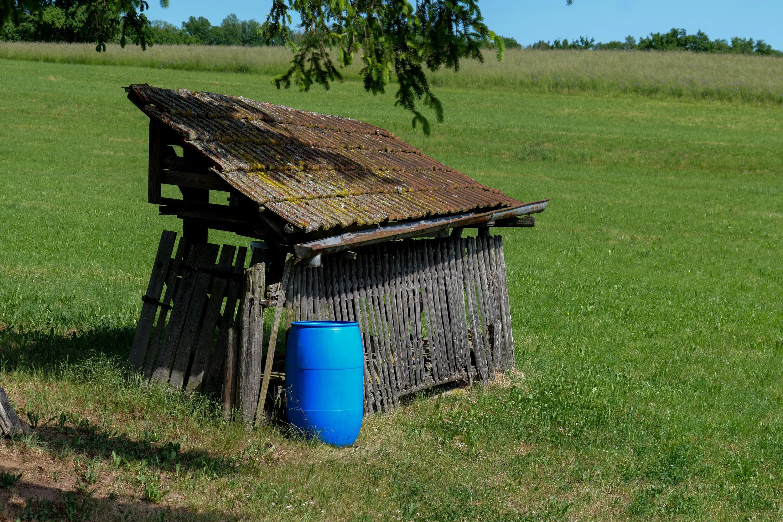 P1000112.jpg