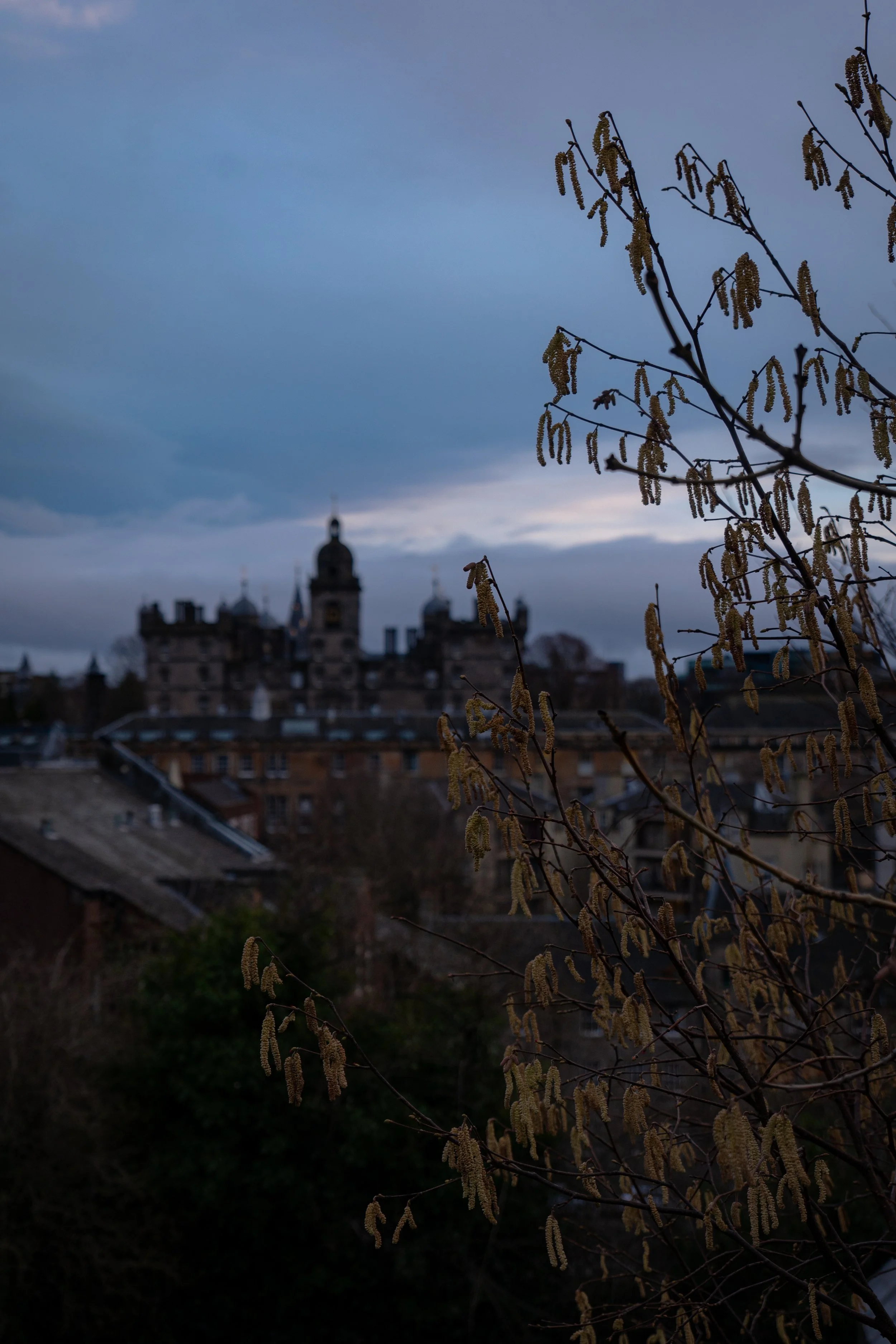 P1074739.jpg