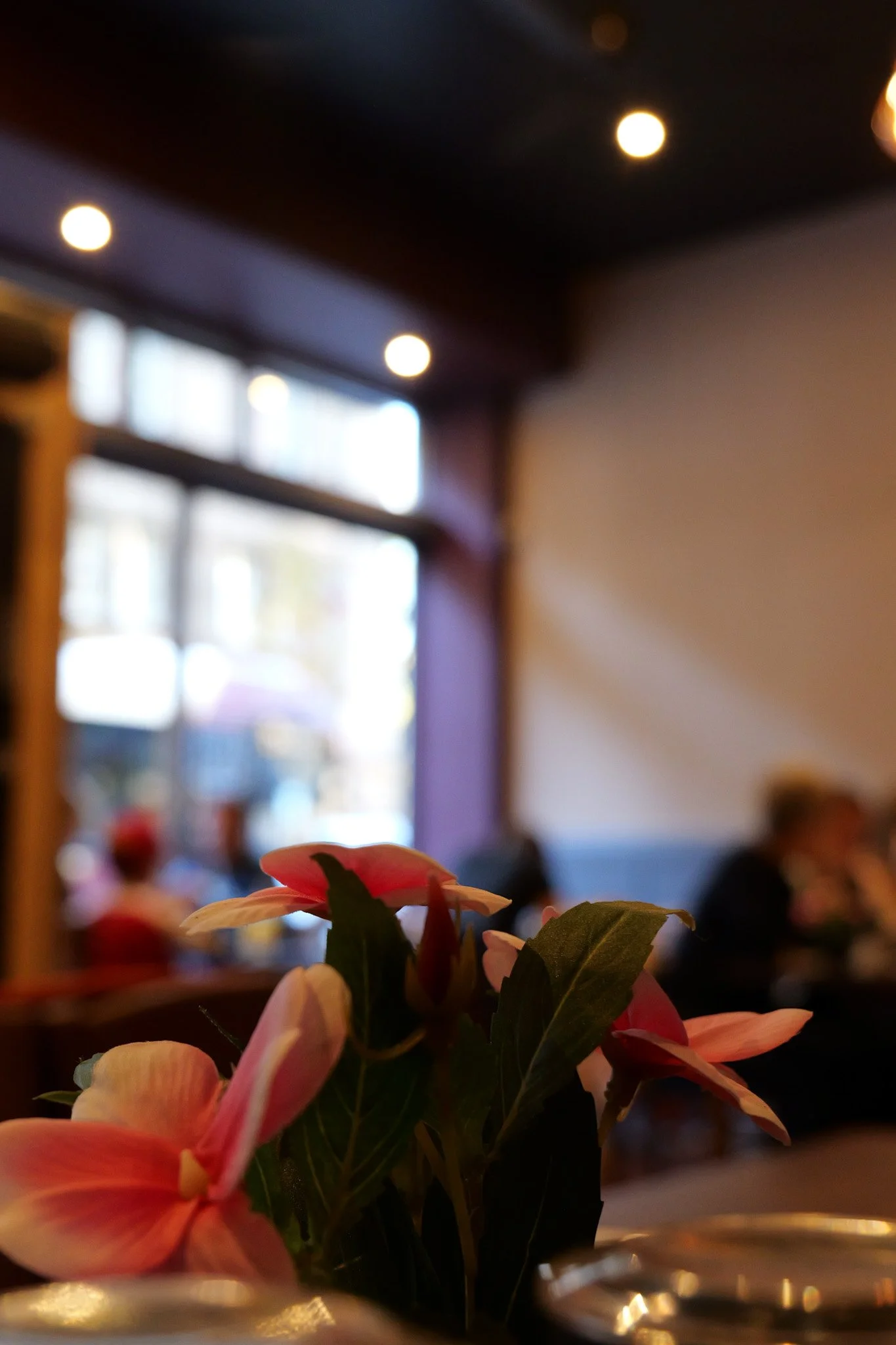 P1001021.jpg