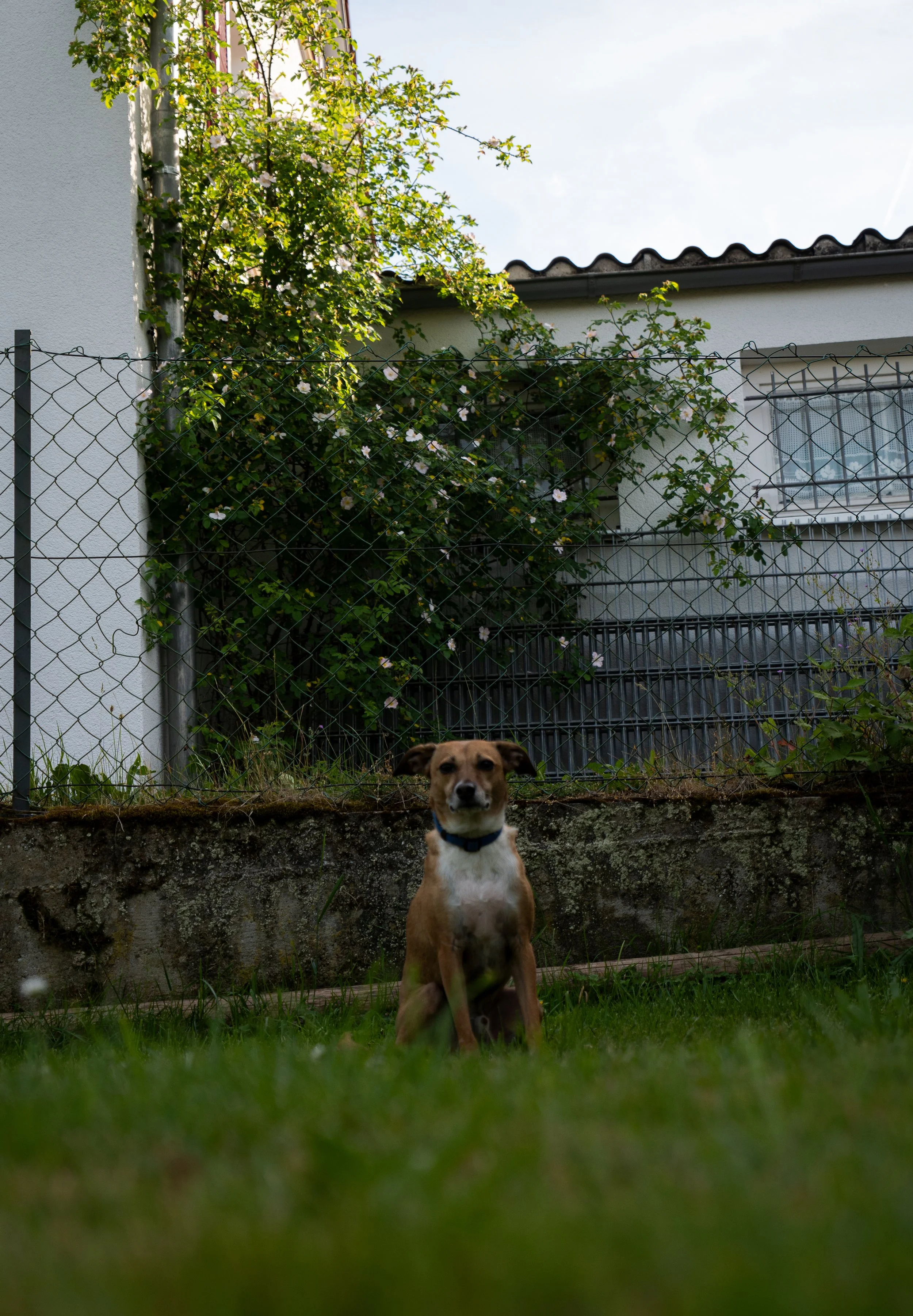 P1123680.jpg