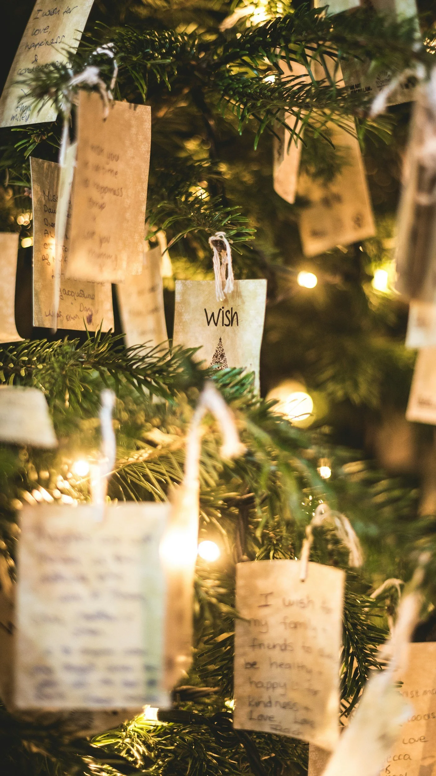 A decorated Christmas tree with small handwritten notes and wishes hanging on its branches, illuminated by warm string lights.