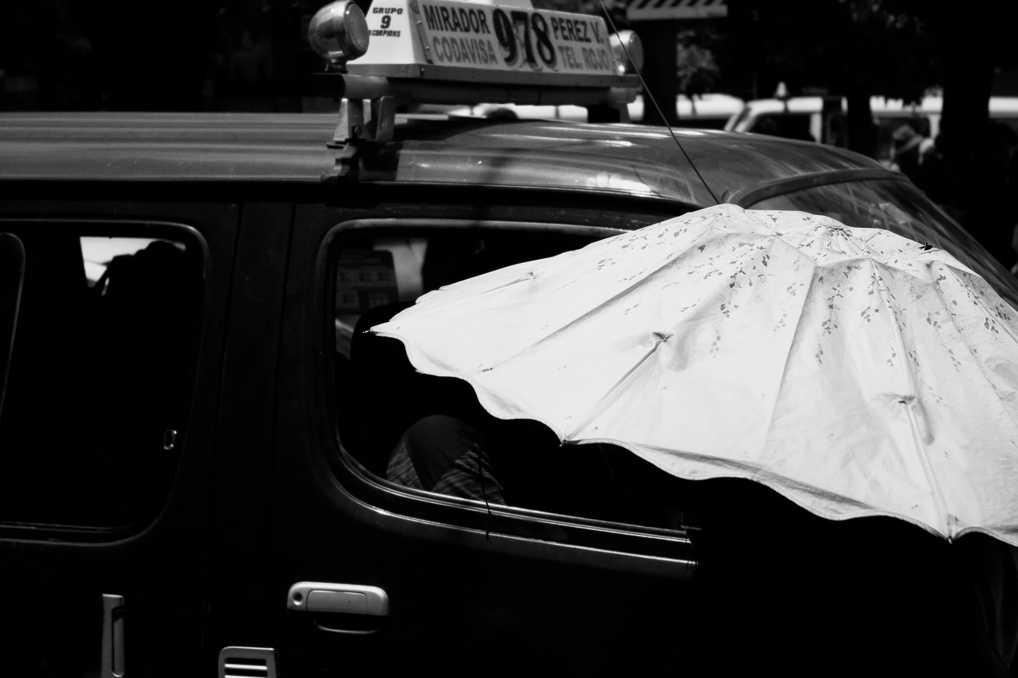 _MG_5602.jpg