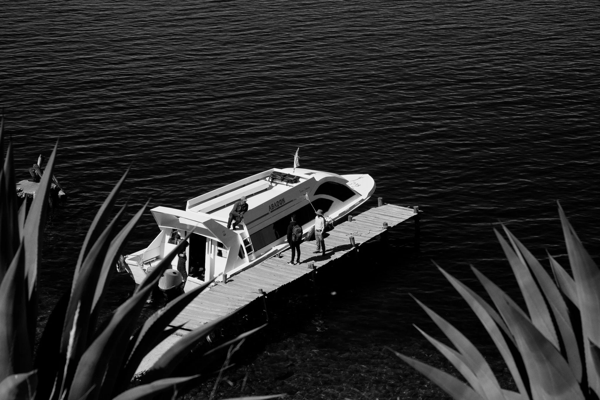 _MG_5539.jpg