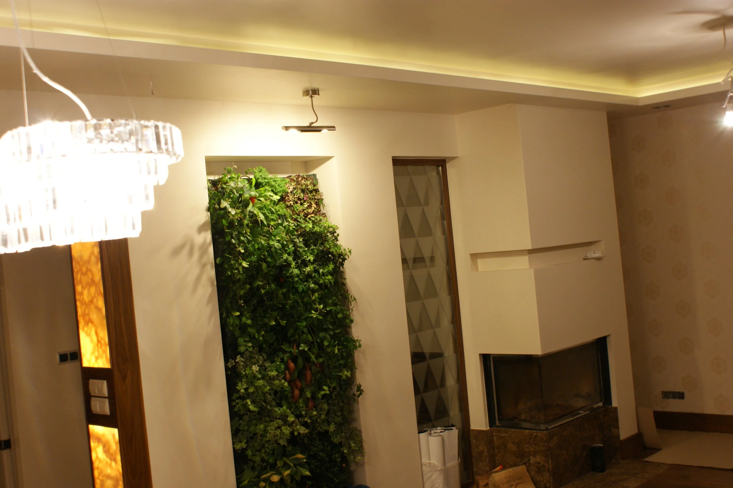 Interior of a room with a built-in green plant wall, modern lighting fixtures, and a decorative design on the wall near a doorway.