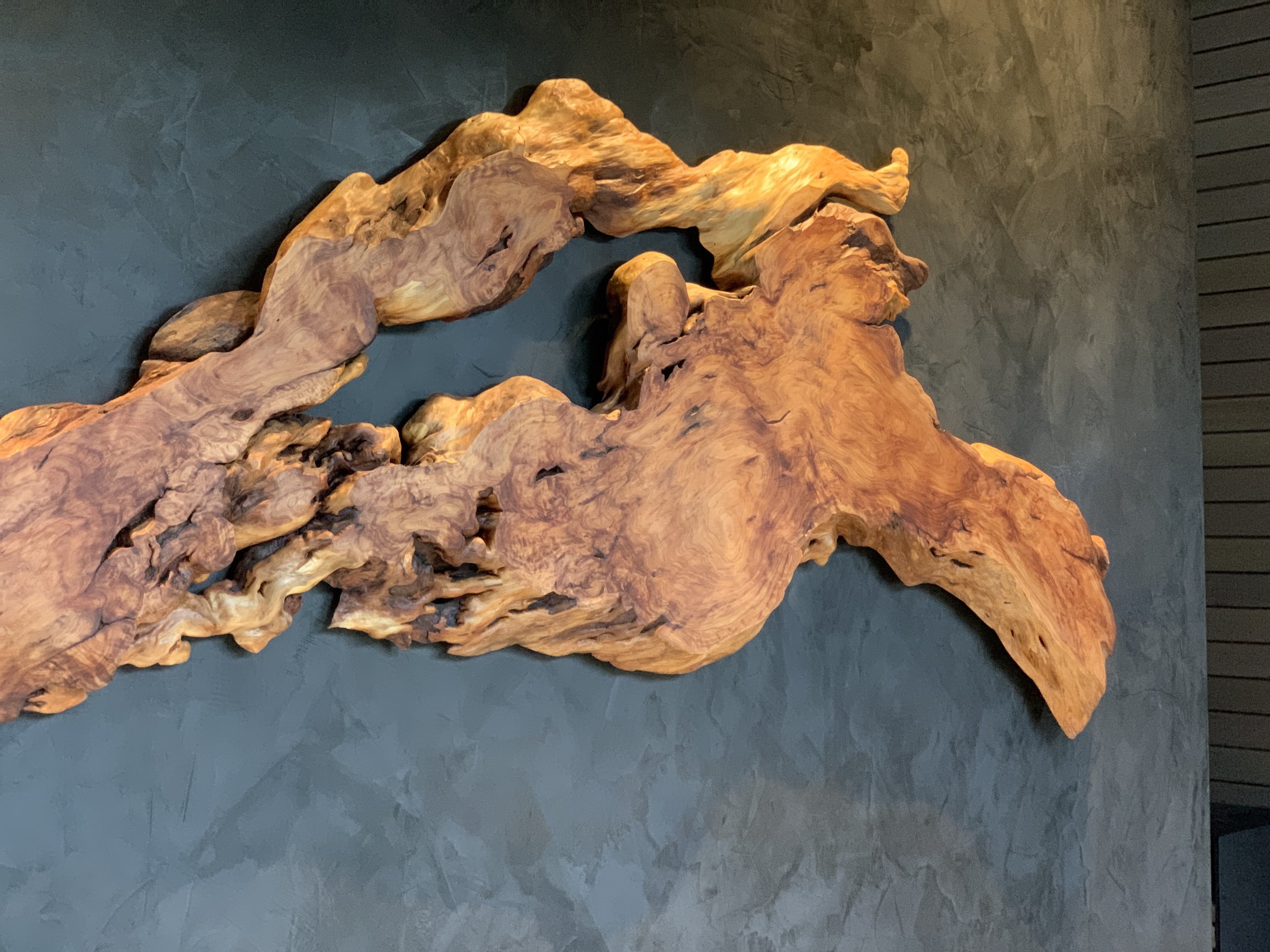 Close-up of a large, irregularly shaped piece of polished wood with a textured, natural surface, displayed against a dark venetian  background.