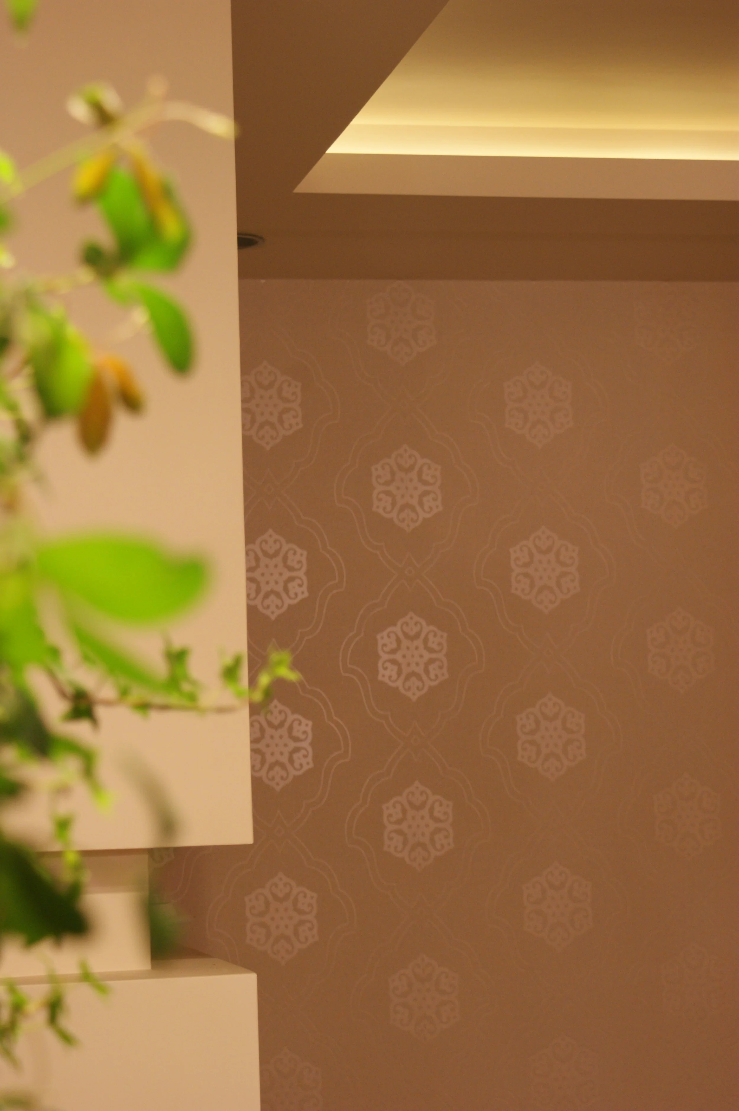 A blurred green plant in the foreground, with a beige wall and patterned wallpaper in the background.