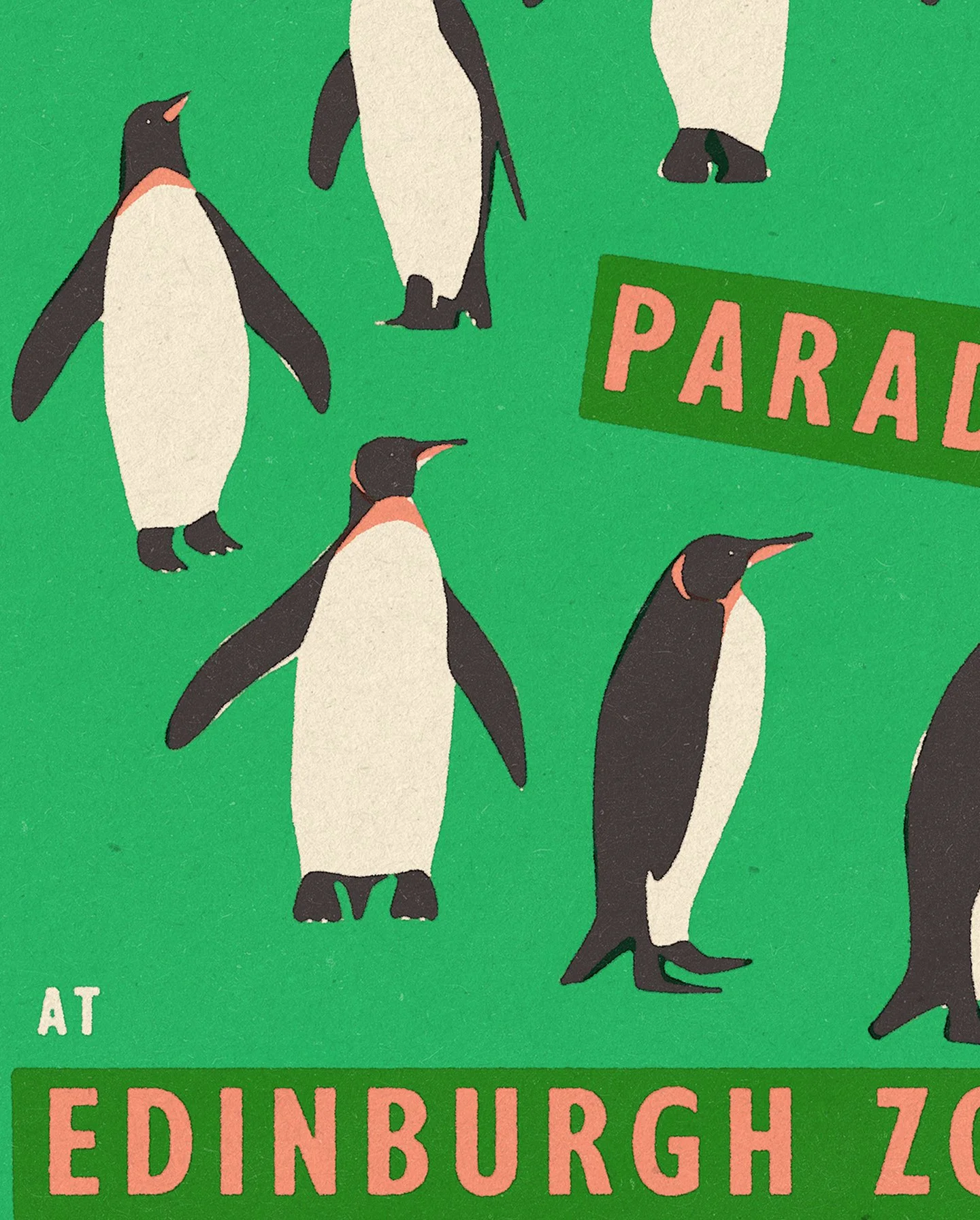 Penguins.jpg