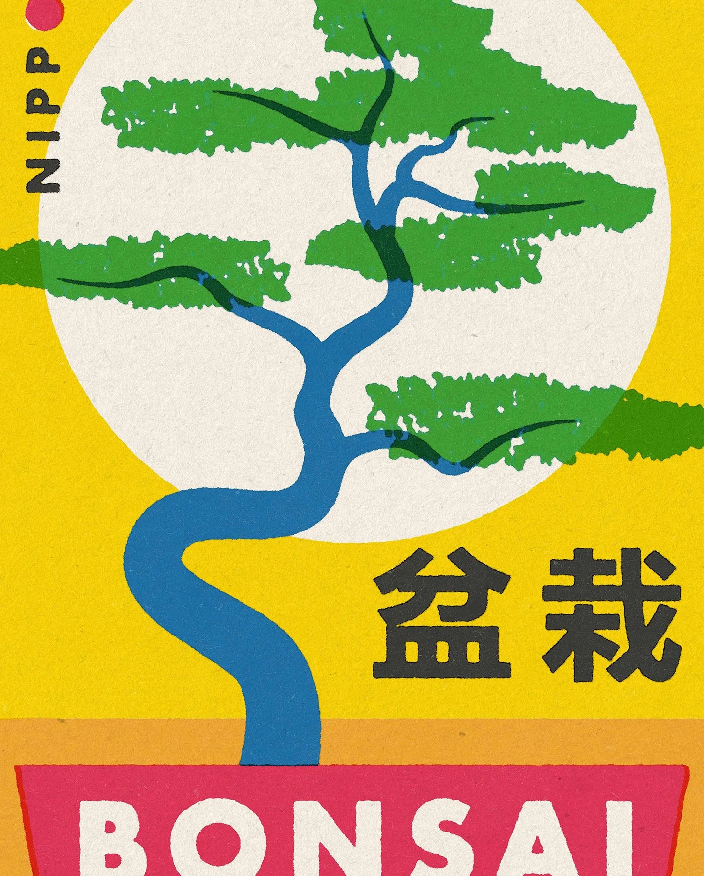 Bonsai 2.jpg