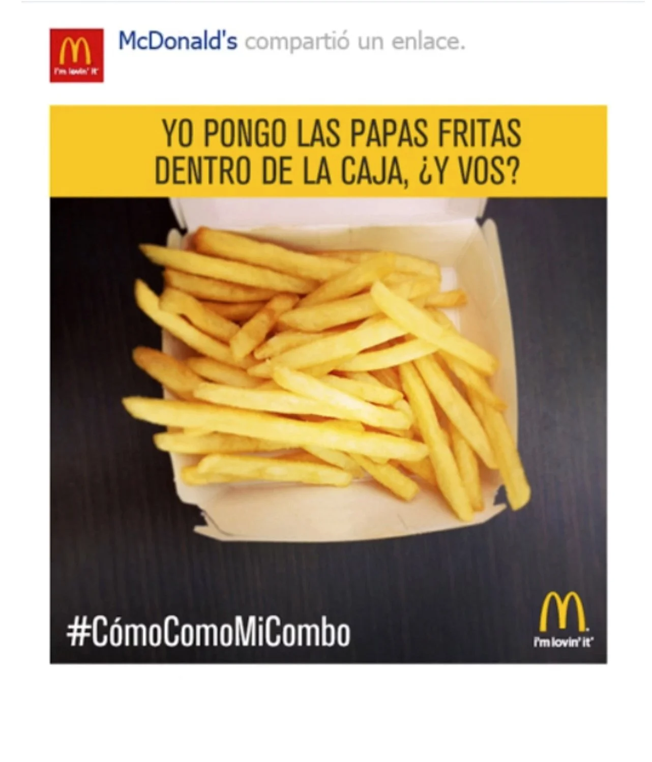Dentro de la caja.jpg