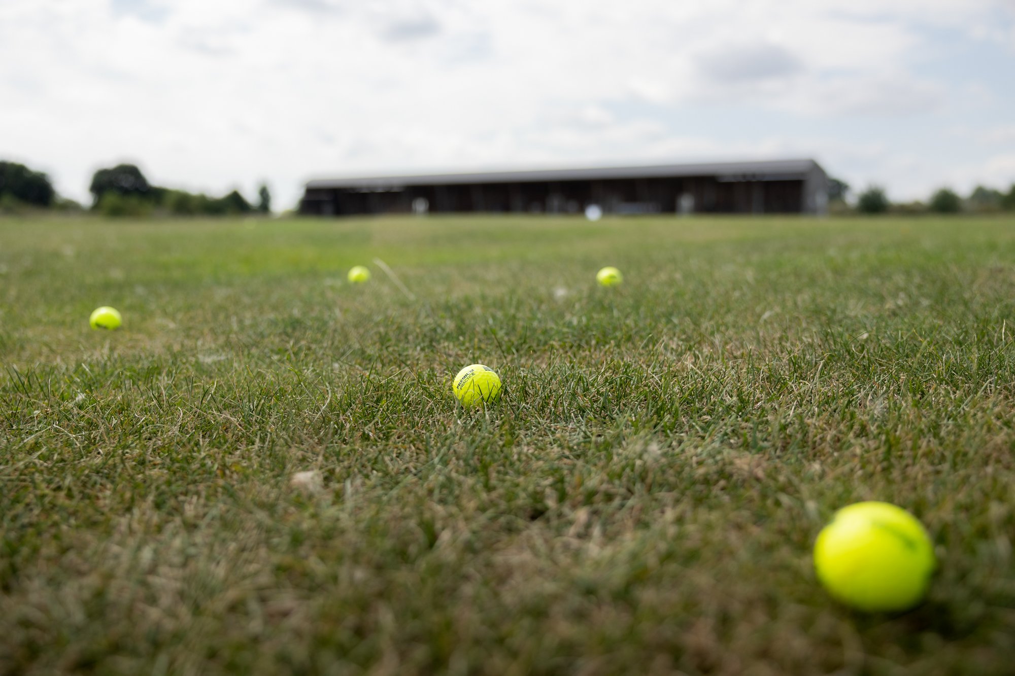 Mehrere gelbe Golfbälle liegen auf einer grünen Wiese mit Gebäude Driving Range im Hintergrund.