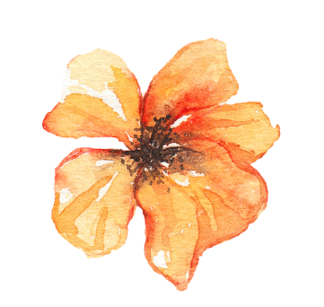 Watercolor painting of a single orange poppy flower with dark center.