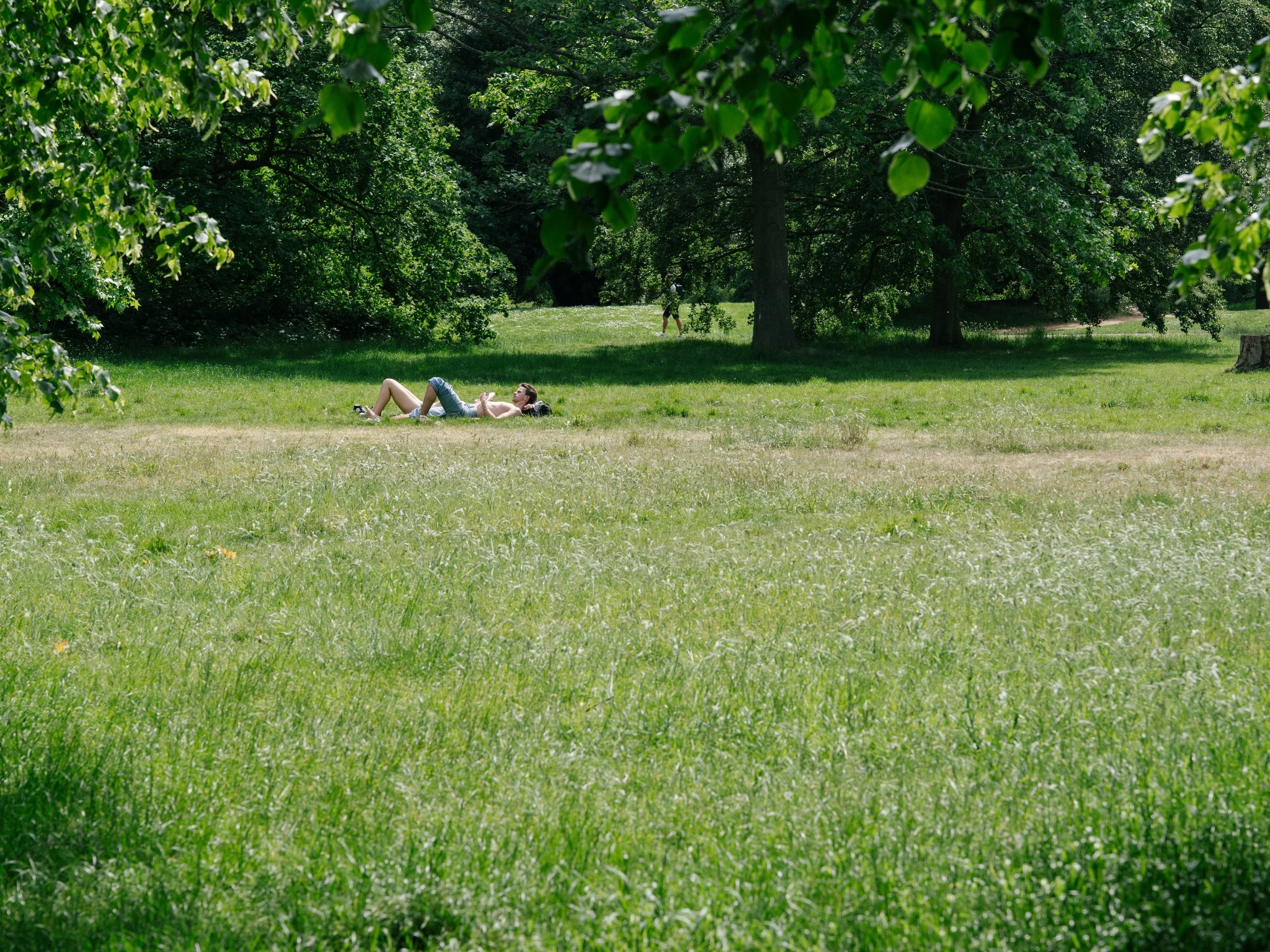 crystalpalace-30.jpg