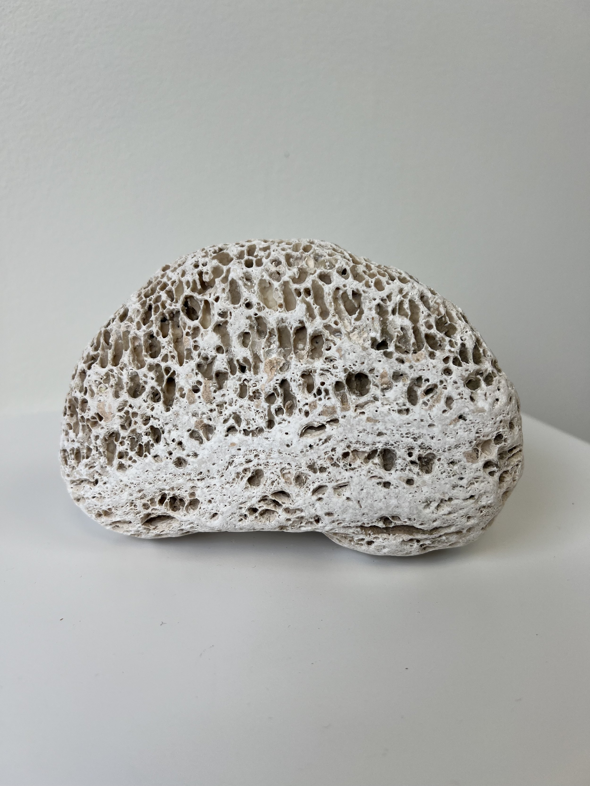 Industrial Sponge 