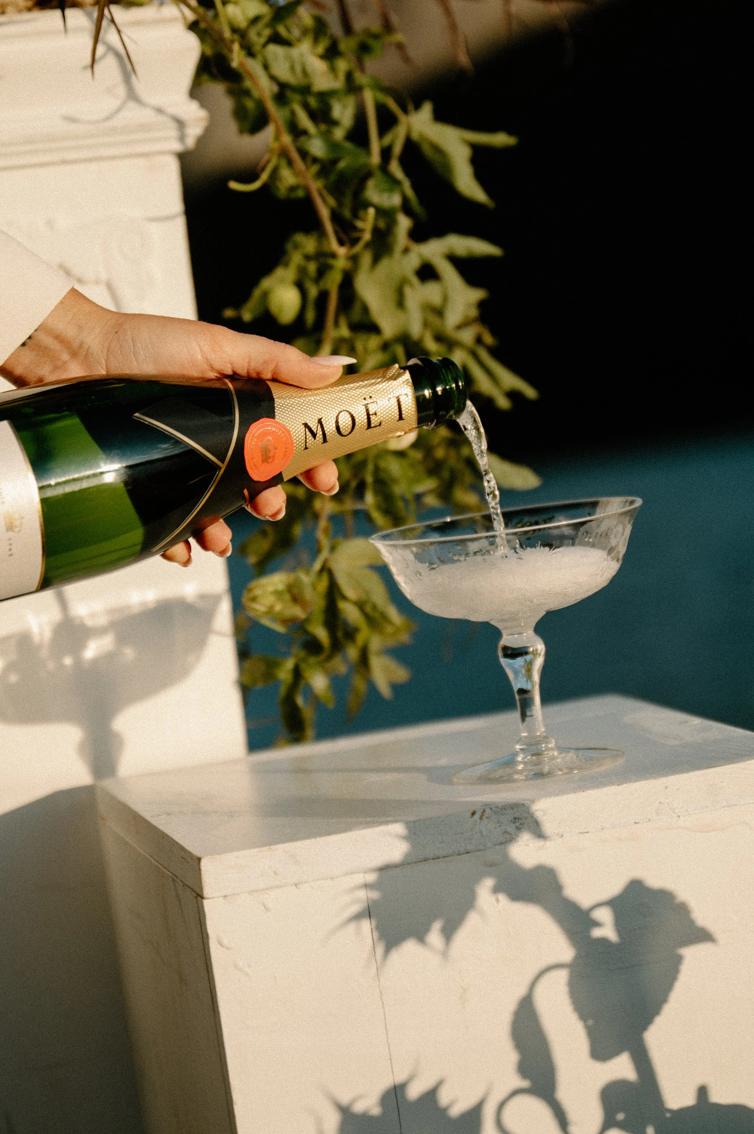 A hand pouring champagne into a cocktail glass, with a shadow of a leafy plant on a white surface, during daytime with bright sunlight.