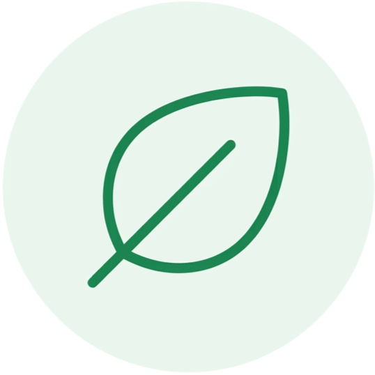 Simple green icon of a leaf on a light green circular background.