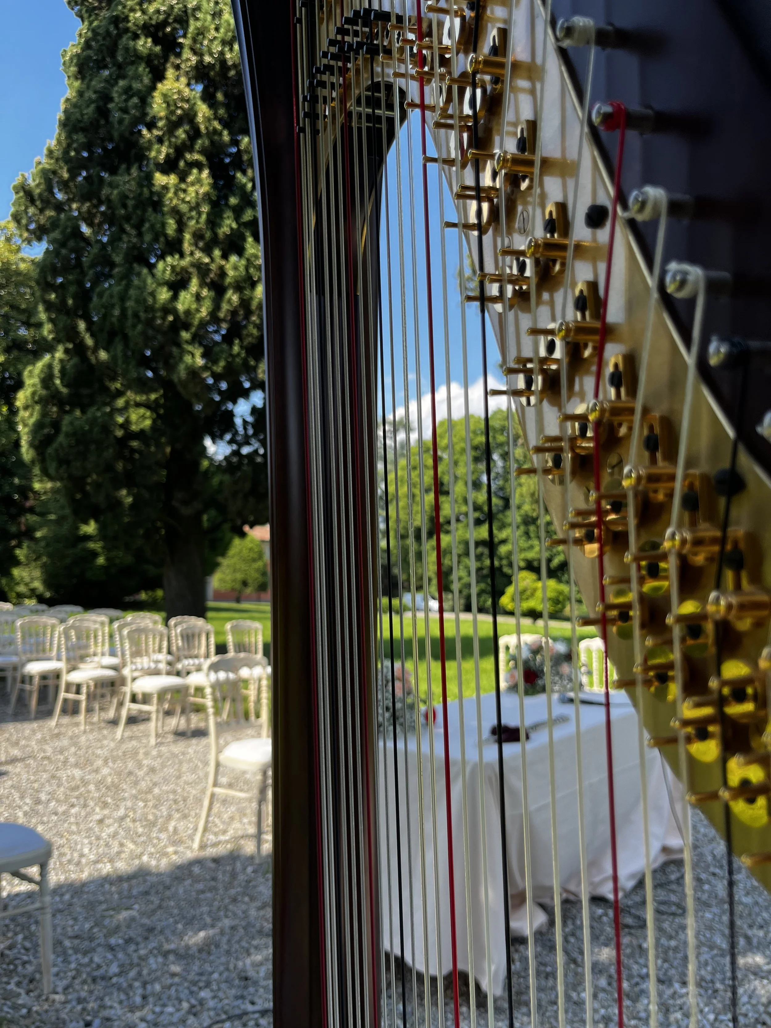 Un'arpa in un giardino, pronta a suonare per un evento