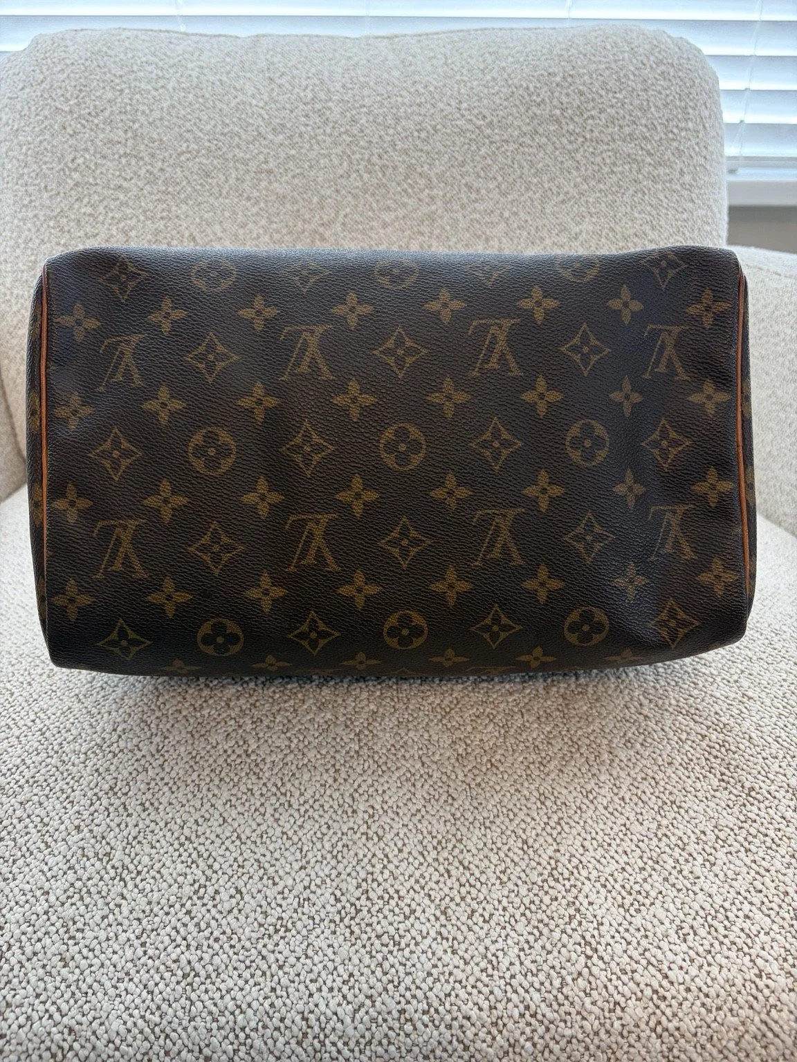 05-LV-Speedy-Monogram.jpg