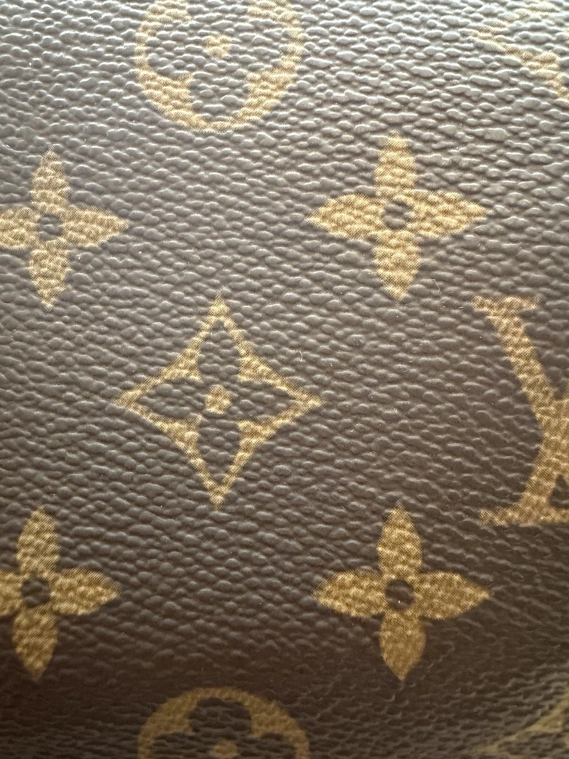 15-LV-Speedy-Monogram.jpg