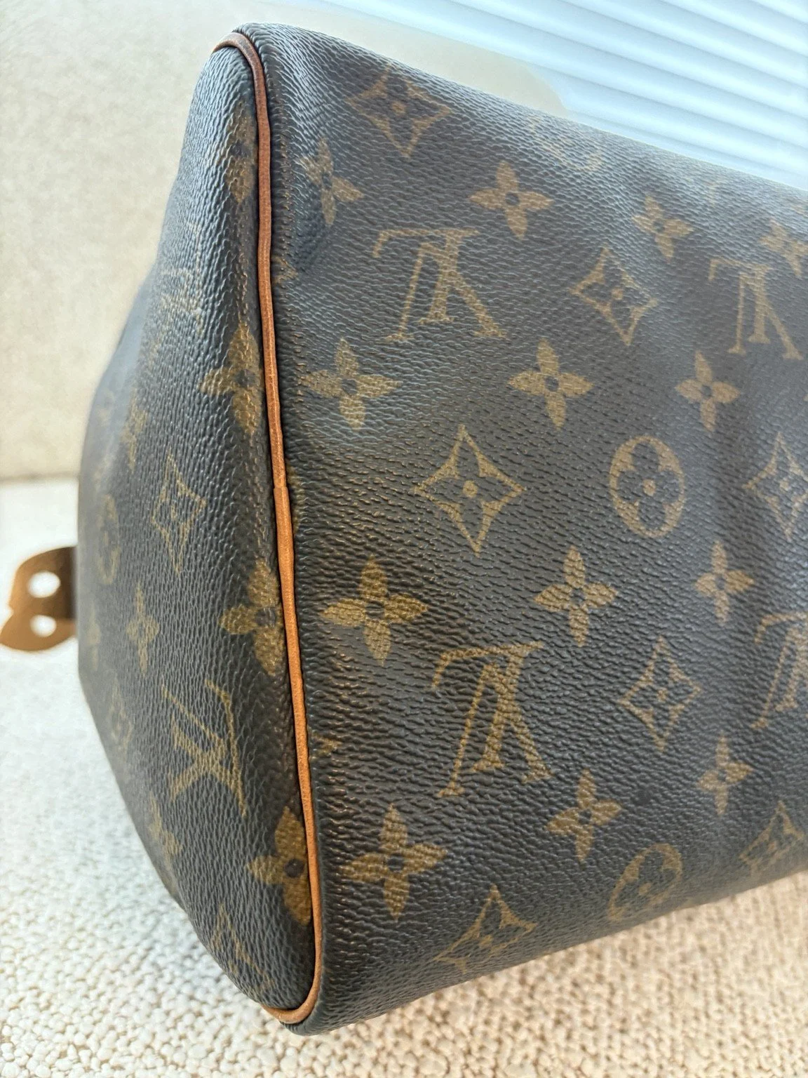 06-LV-Speedy-Monogram.jpg