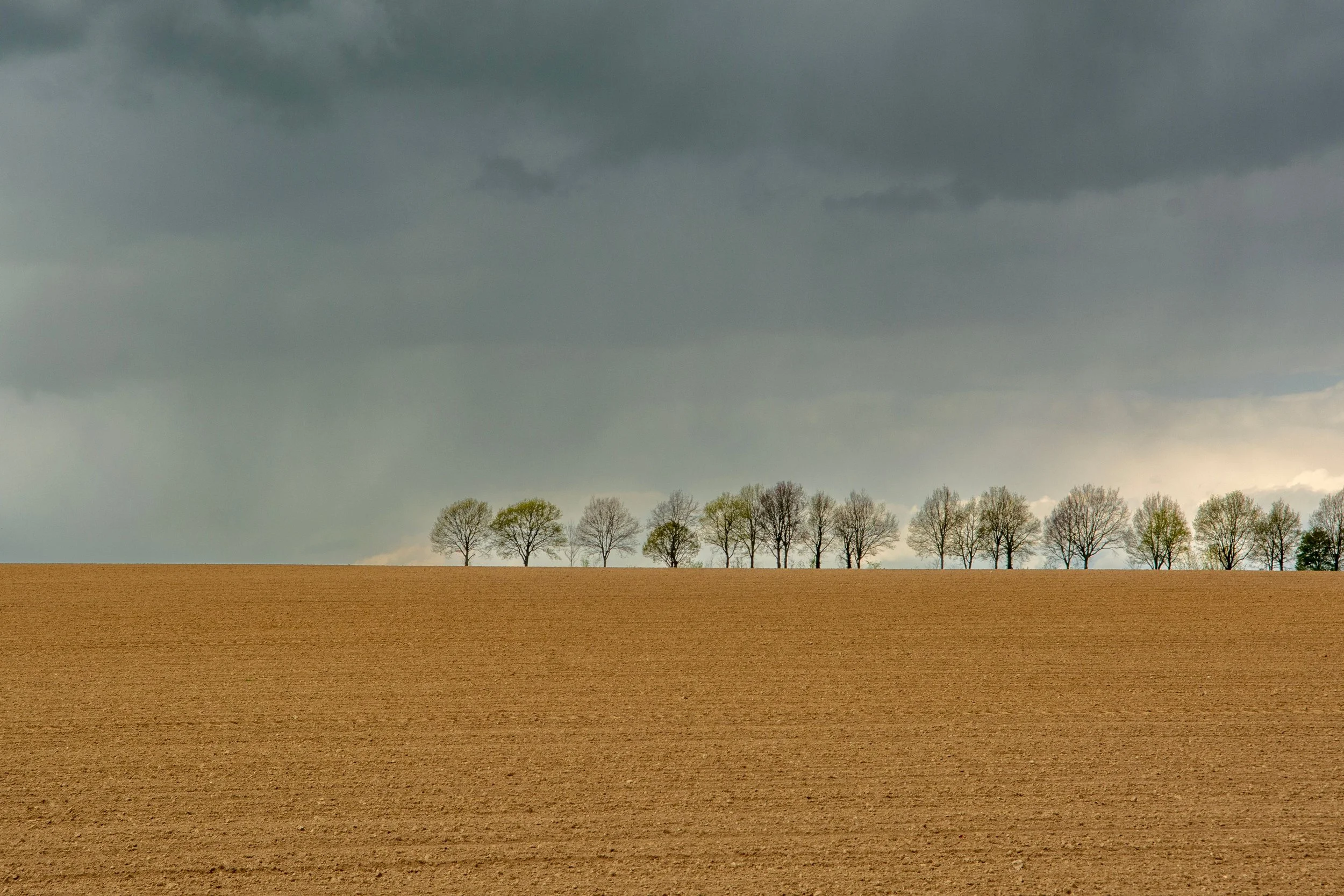 Plowed farmland with a row of trees against the horizon