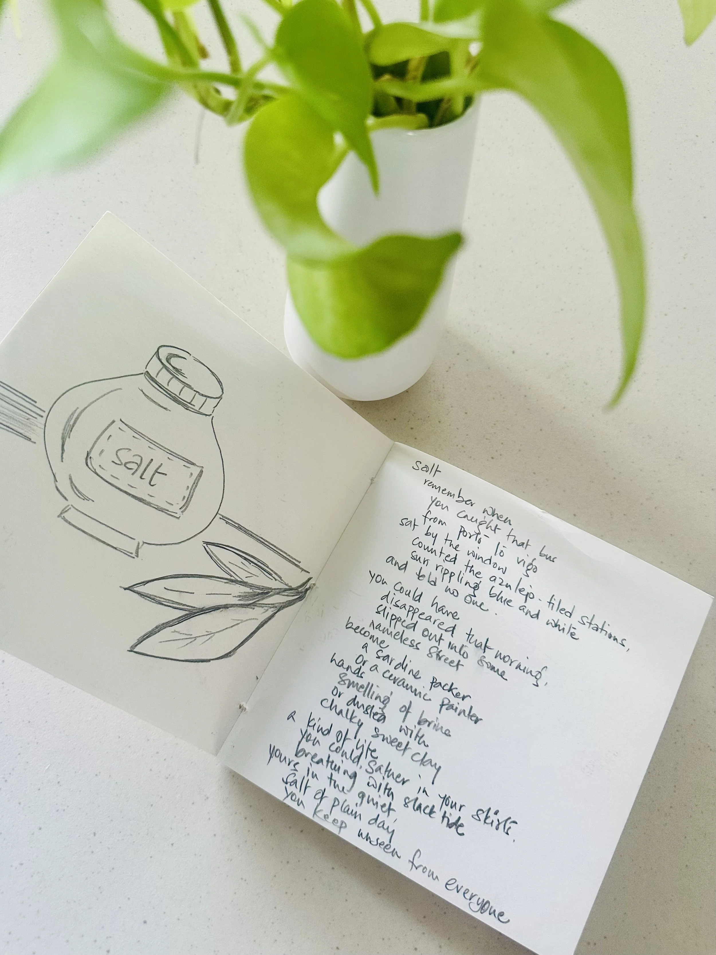 Green potted plant beside a handwritten salt-themed drawing and poem on a tabletop