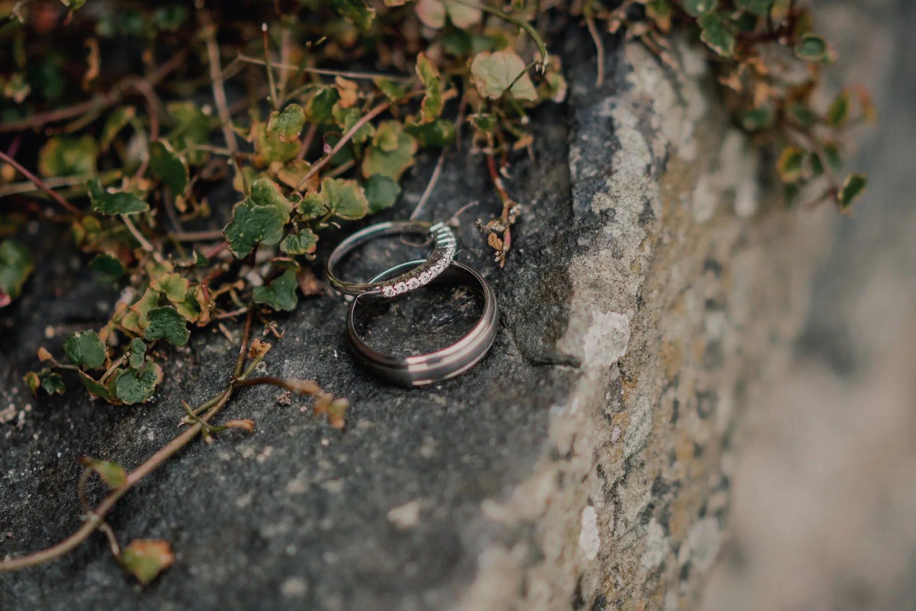 Two wedding rings lying on a mossy stone surface, surrounded by small green plants