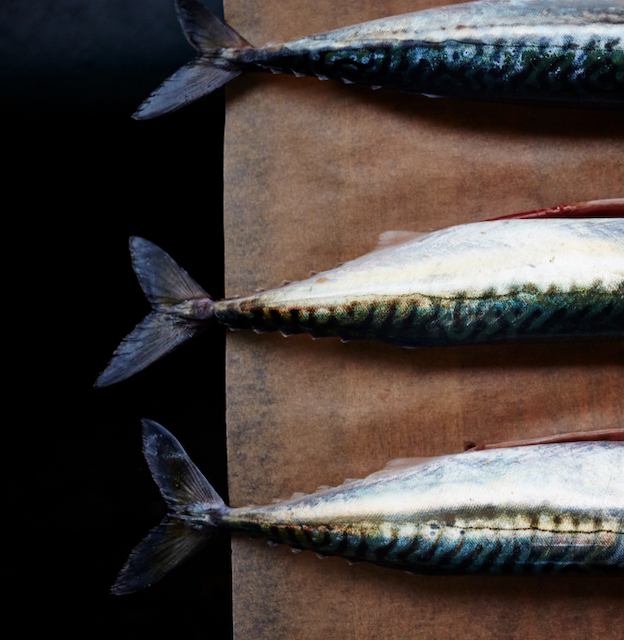 Artistic photograph of three fish tails with beautiful shining scales, laid out by the chef on a wooden restaurant kitchen surface.