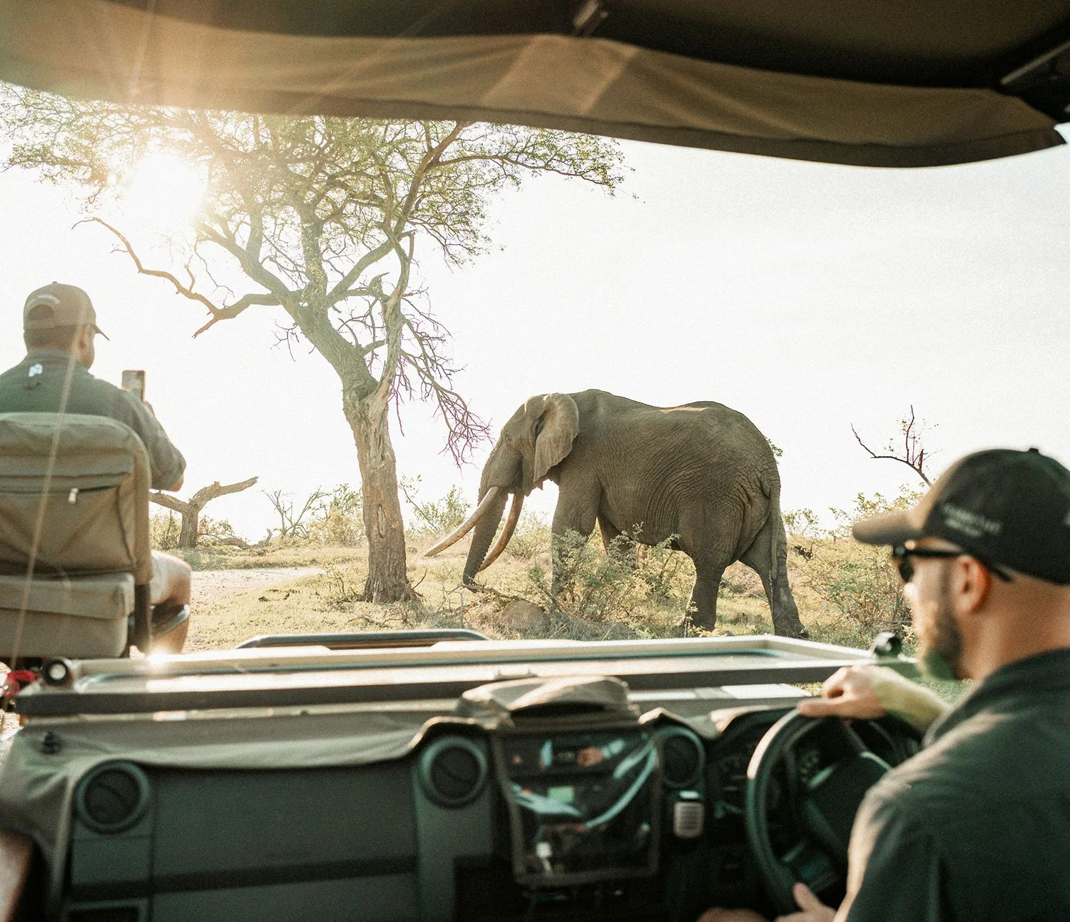 Luxury African safari. Guests watching an elephant from an open game drive vehicle.