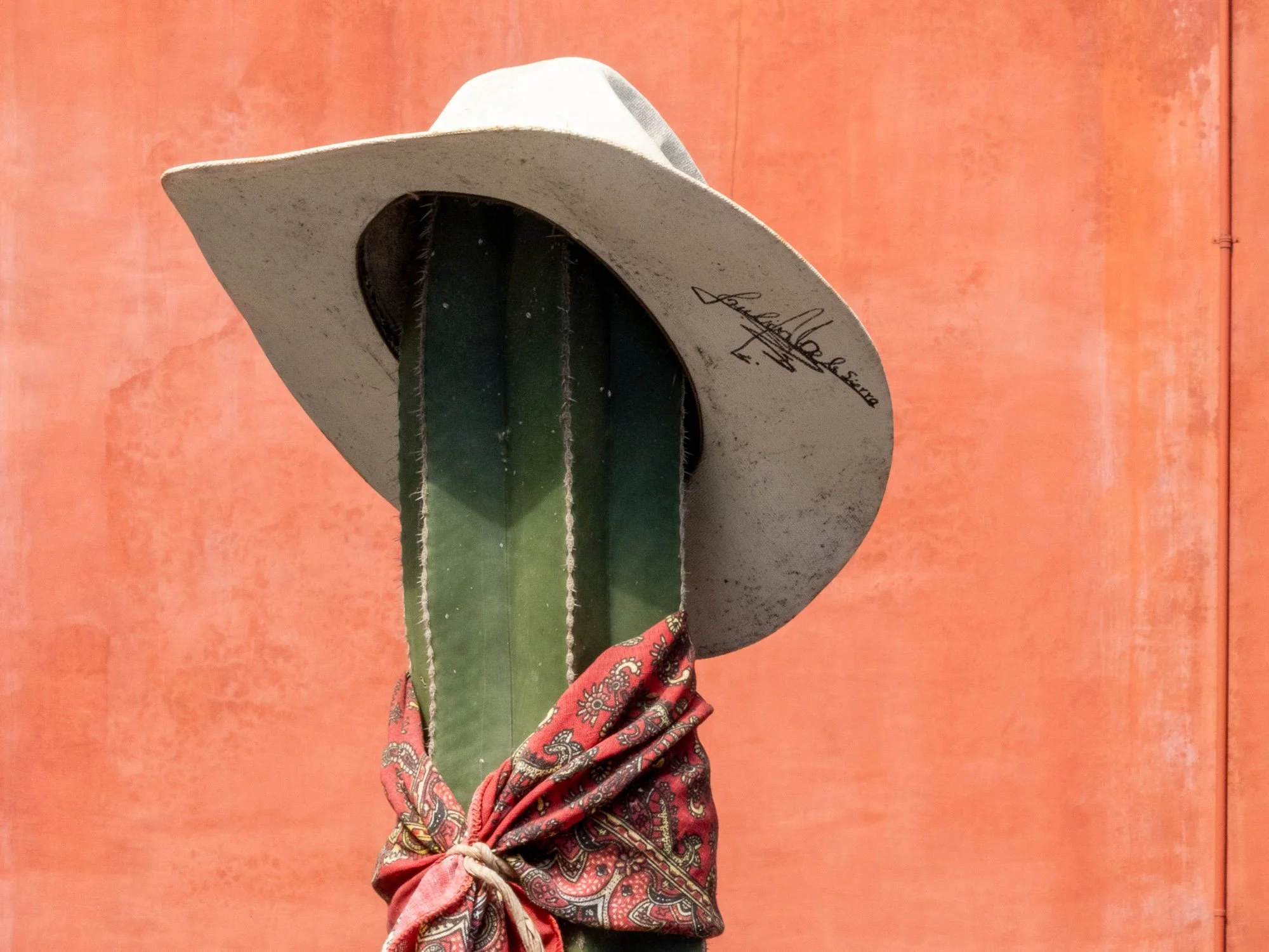 About us. White Mexican cowboy hat on cactus with red bandana. Mexico City. Home of Frida Kahlo