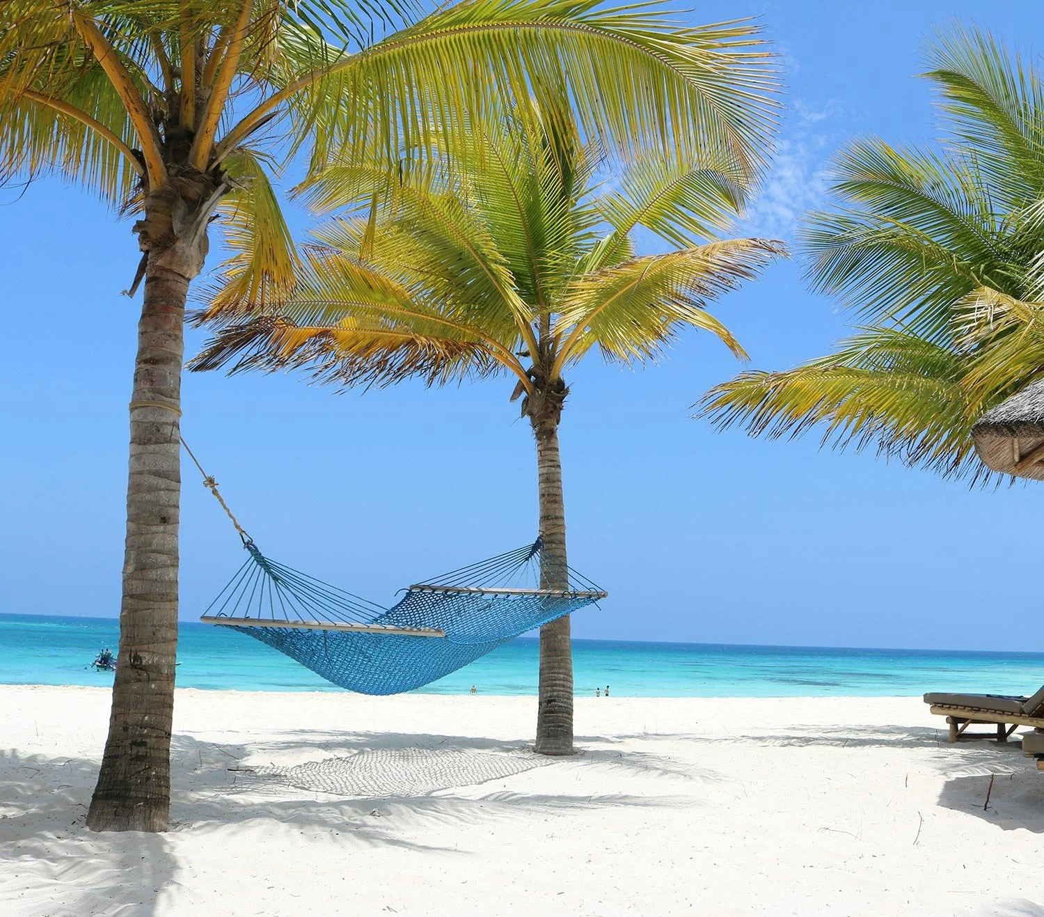 Islands and coast. Secluded beach resort. Private island. White sands beach.  Hammock above a quiet tropical beach