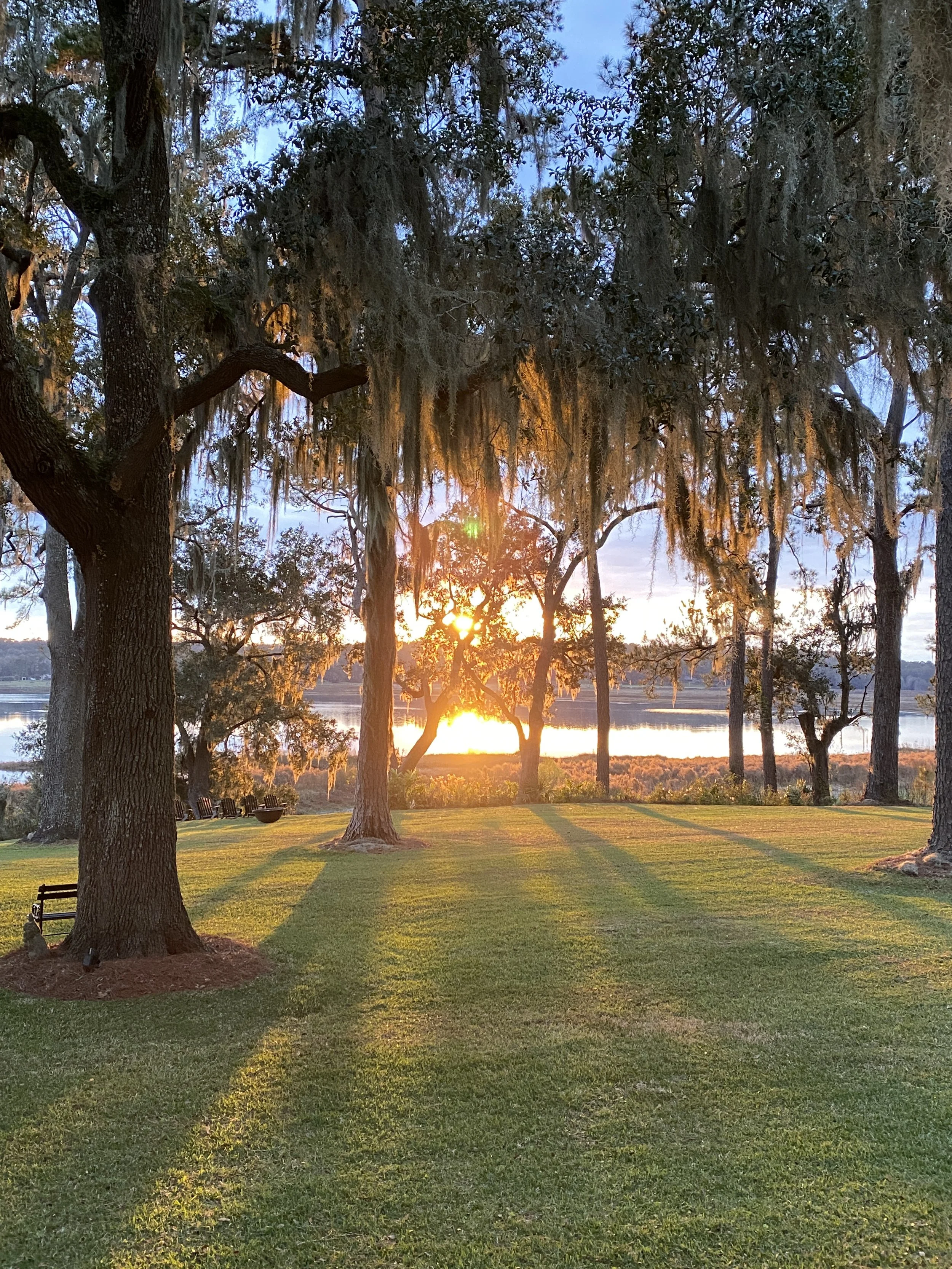 Sunset filtering through oak trees draped in Spanish moss beside the water.