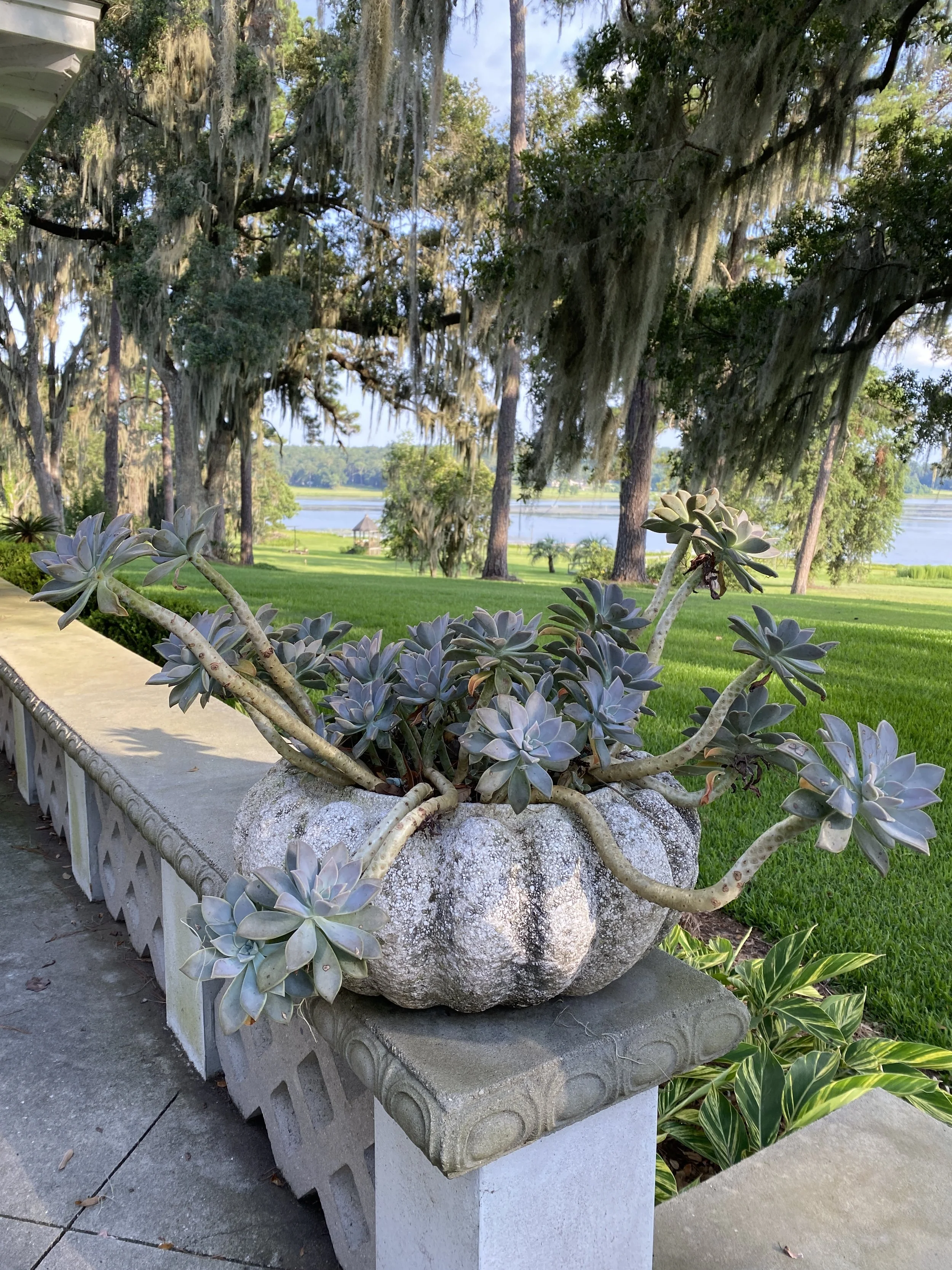 Large stone planter filled with succulents in a garden overlooking the water.