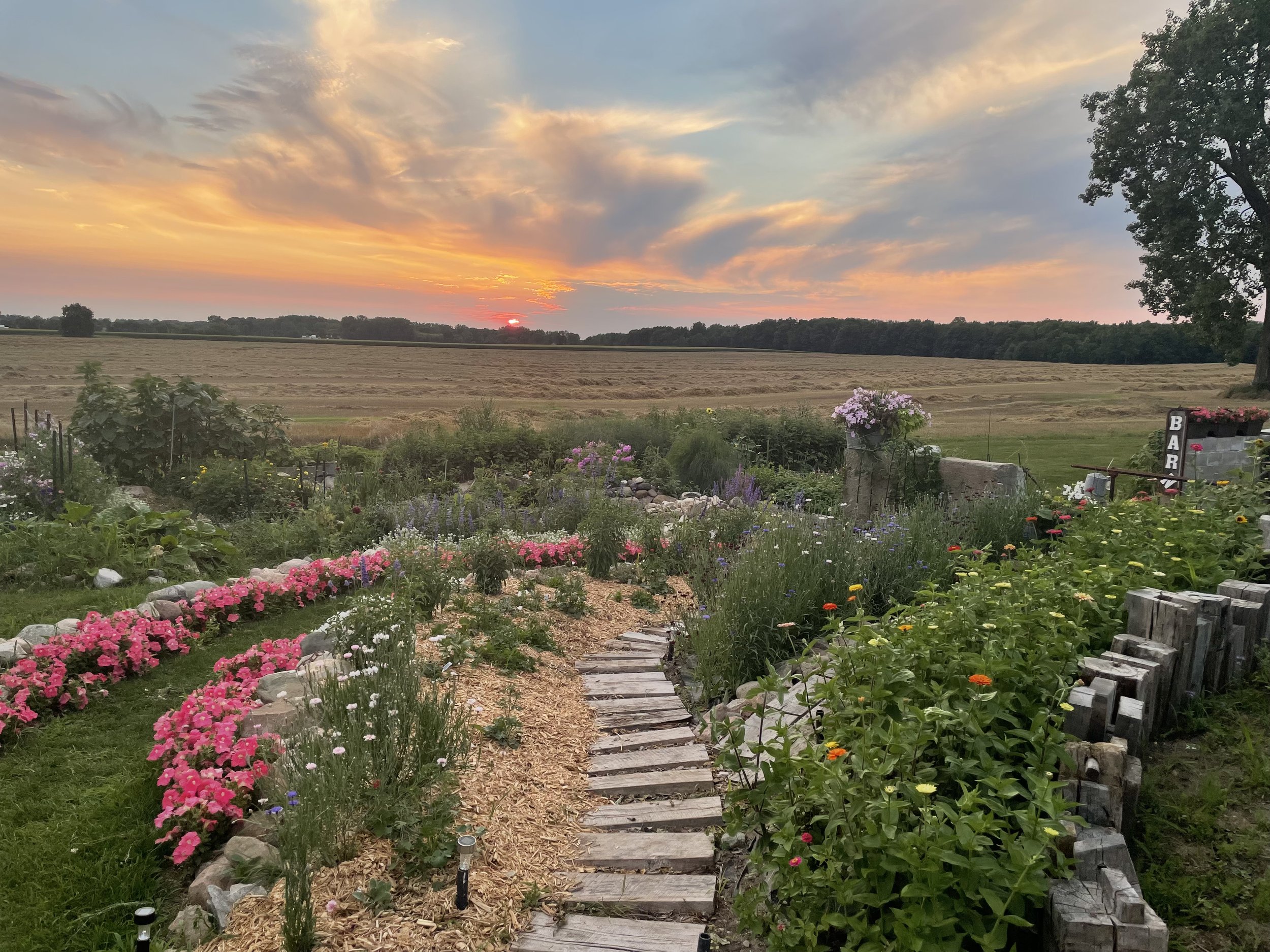 A garden path made of wooden planks leading toward a field with a sunset sky. The garden is filled with colorful flowers and plants, with a sign that reads 'BAR' on the right side and a dove-shaped decoration.