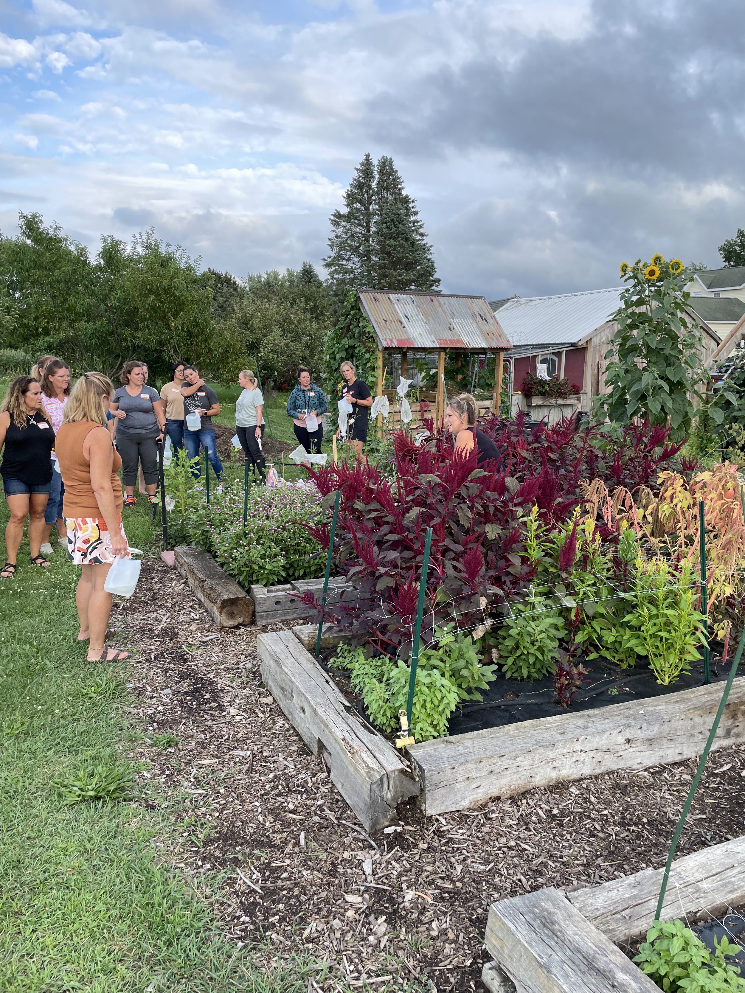 A group of women standing in a garden near vegetable beds, some holding containers, under a cloudy sky with a sunflower plant visible. There are trees, a shed with a rusty roof, and neighboring houses in the background.