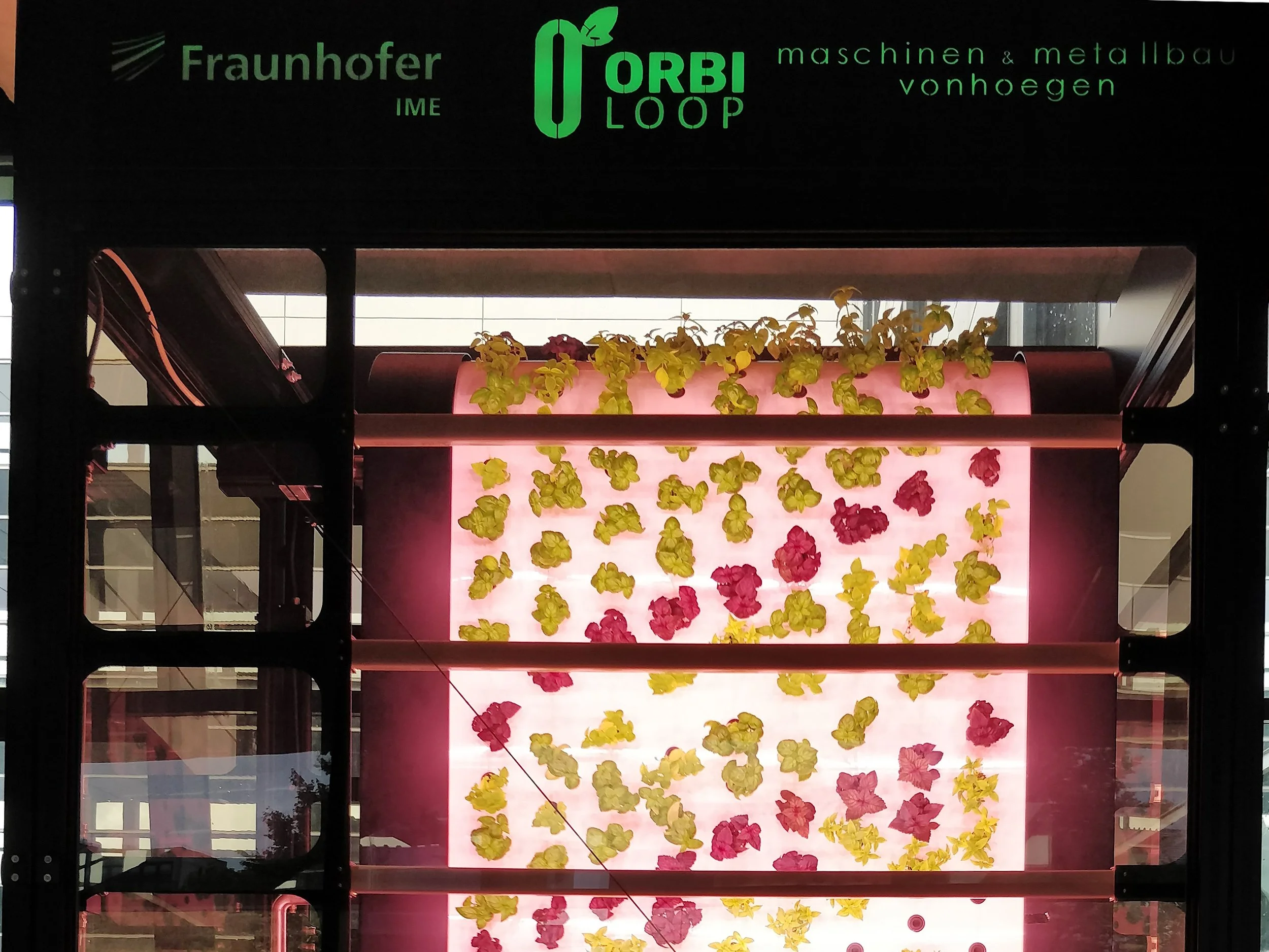 OrbiLoop-frontal-Andreas-Reimann.jpg