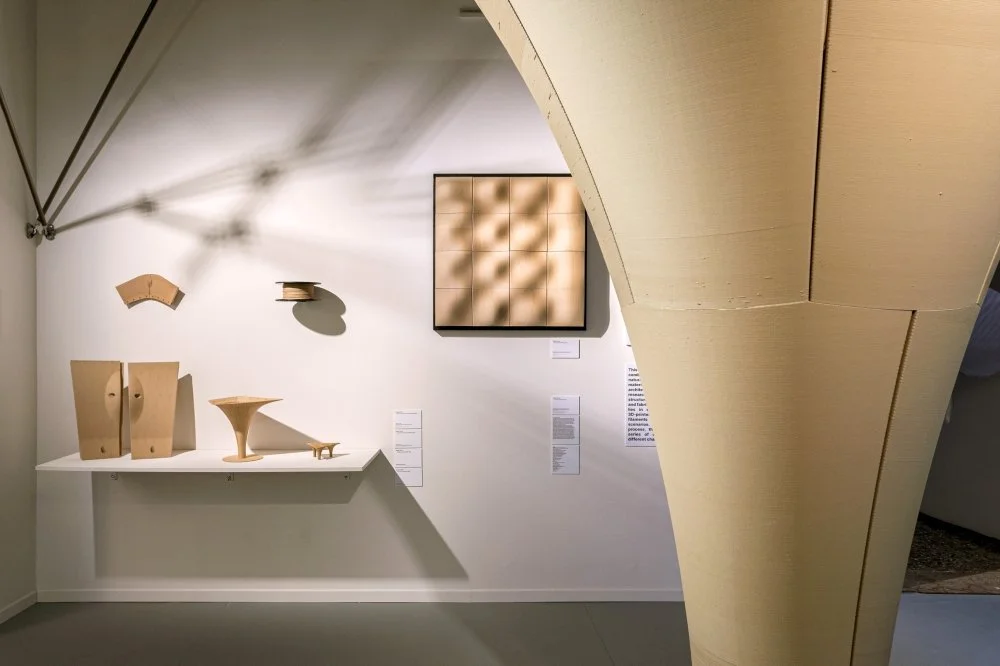 VeniceBiennial2023_ECC_BioMat-15.jpg