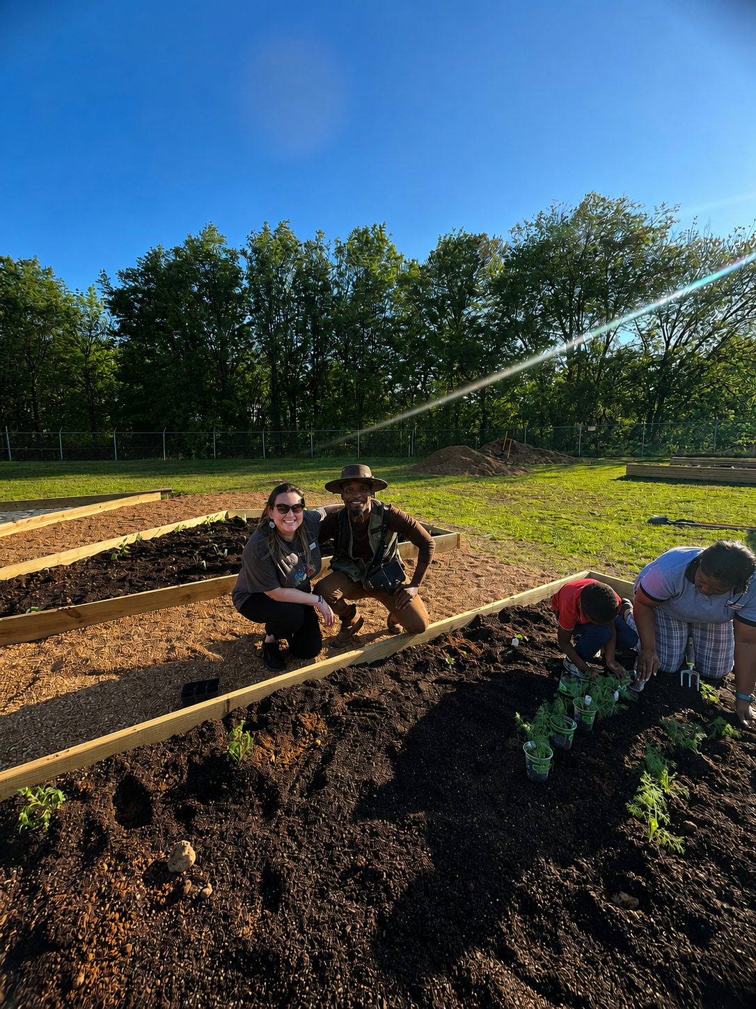 People working in a garden with new plants, surrounded by trees and a clear blue sky.