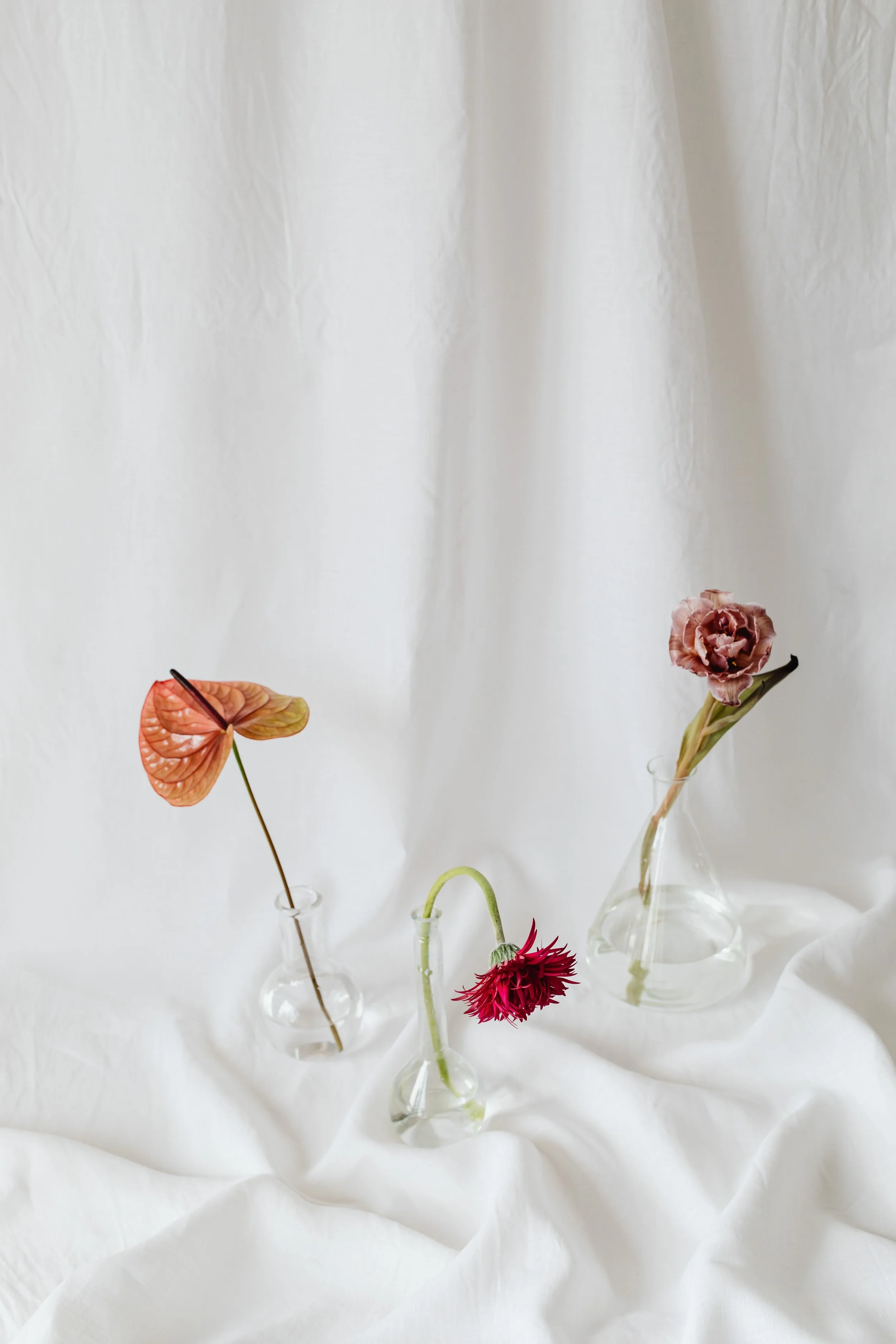 Four small glass vases with different flowers and stems, set on a white surface against a white background.