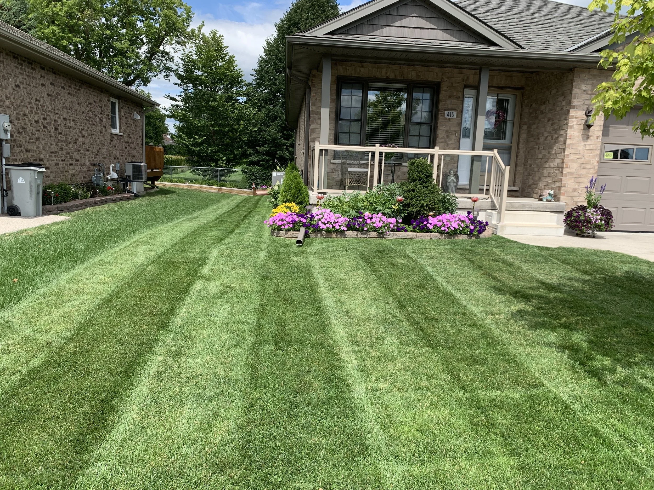 Organic Lawn Fertilizing