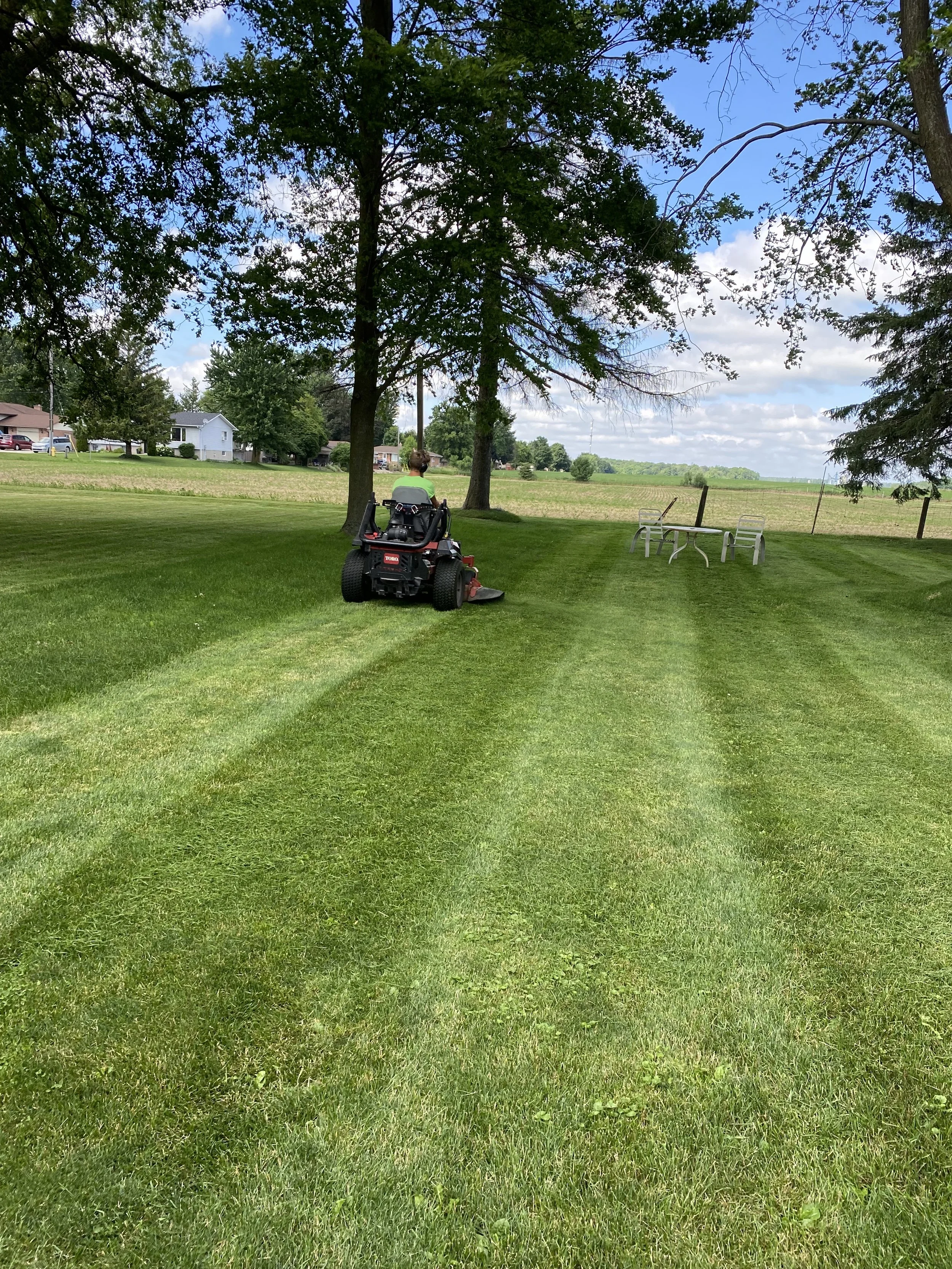 Lawn Mowing & Trimming