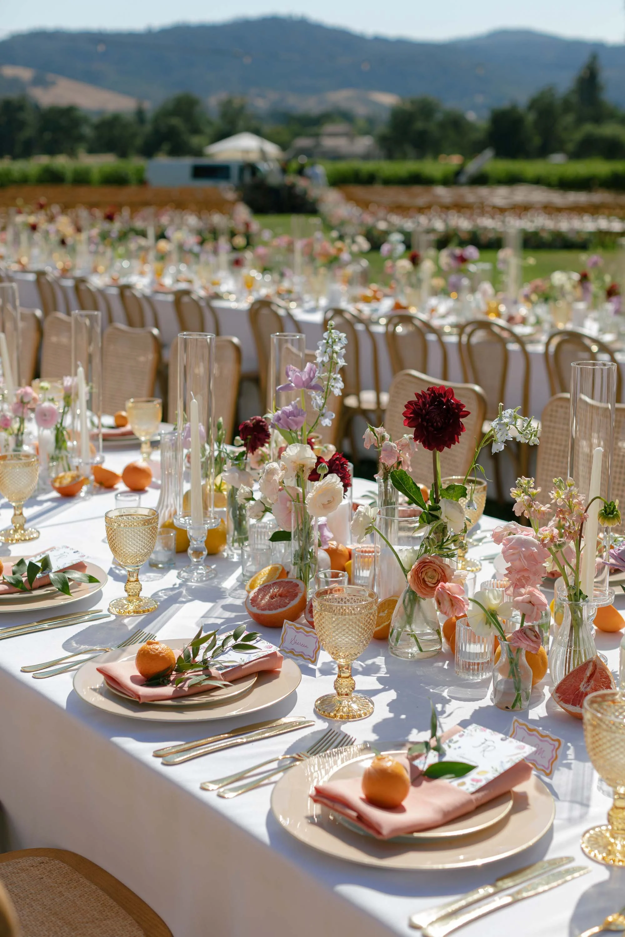 Chandon and Chateau St Jean Napa Valley Weddings - Burke Events Wedding Planning and Design 6 (5).jpg
