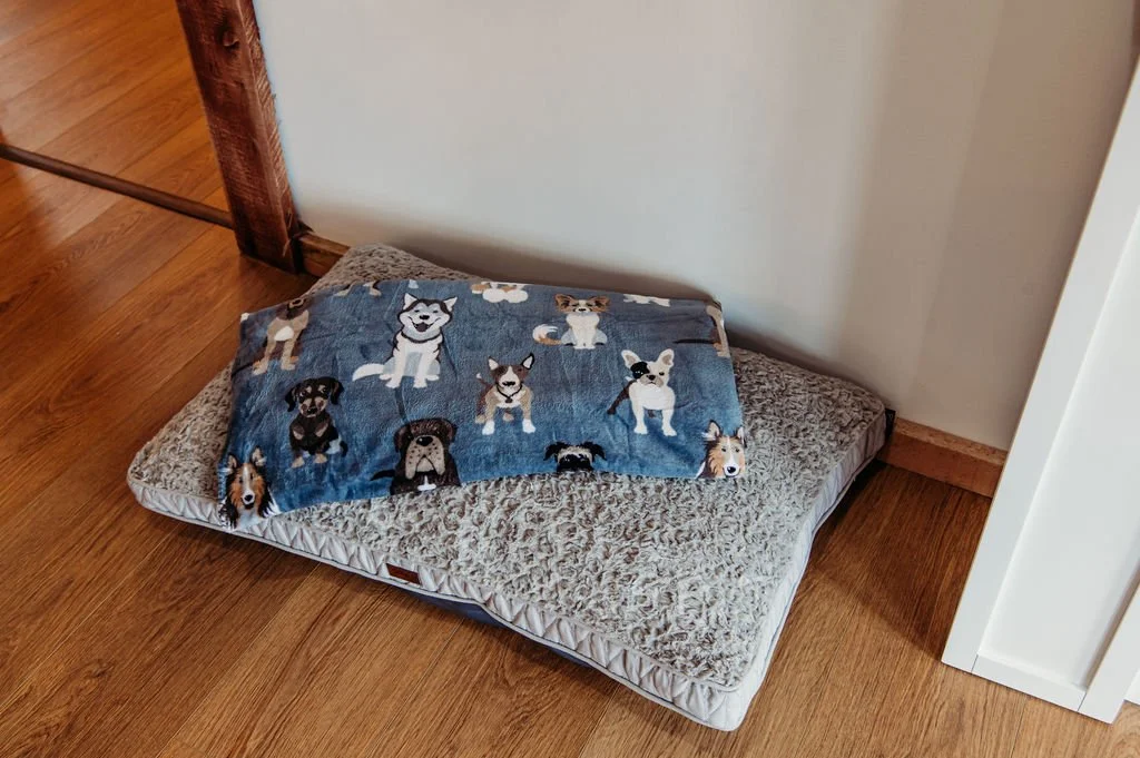 Dog bed with a patterned blanket featuring various dog faces.