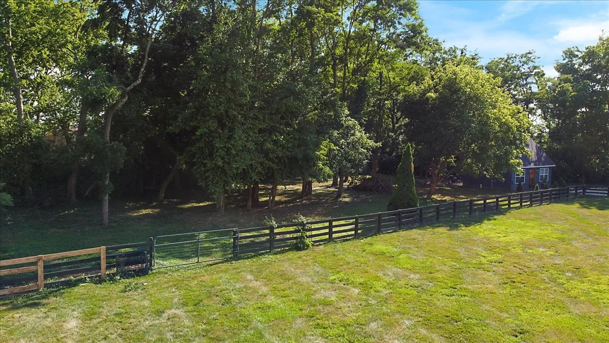 A grassy yard with a black wooden fence and a green metal gate, leading to a wooded area with tall trees and a small house in the background.