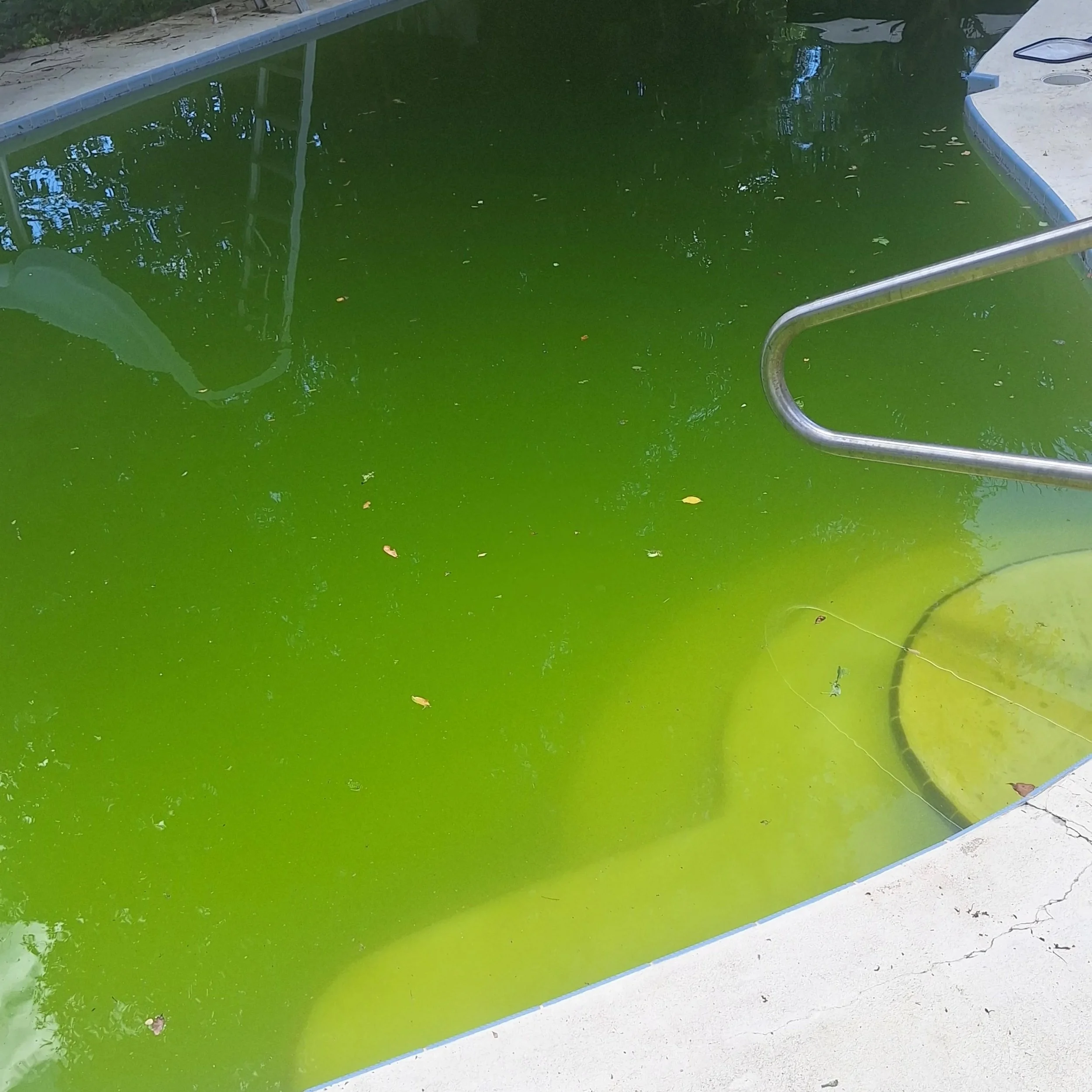 Some call me the pool whisperer lmaoo