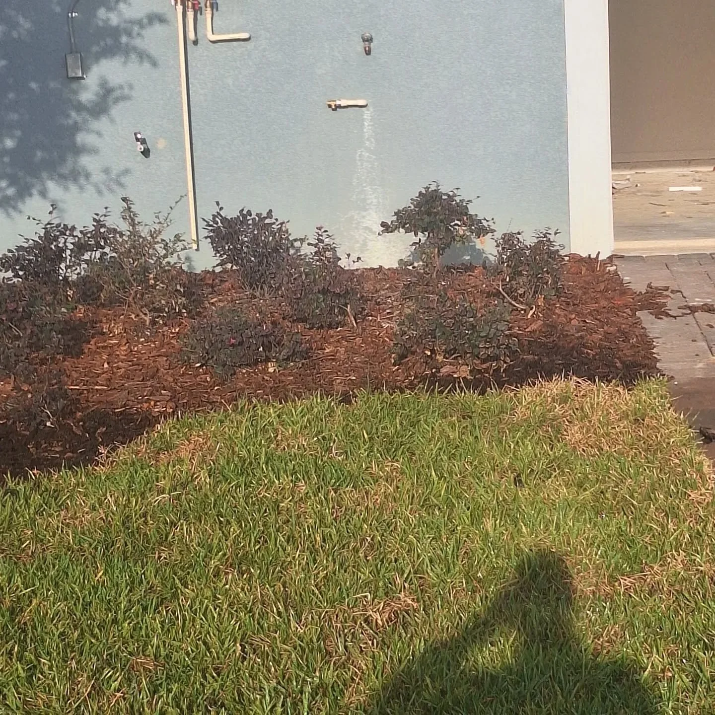 Hose bibb should be 18 to 20 inches off the slab not 4FEET! If your buying a house looking at the main water service gives you a general idea of what kind of pipes are under your slab of your new home. This is unacceptable.