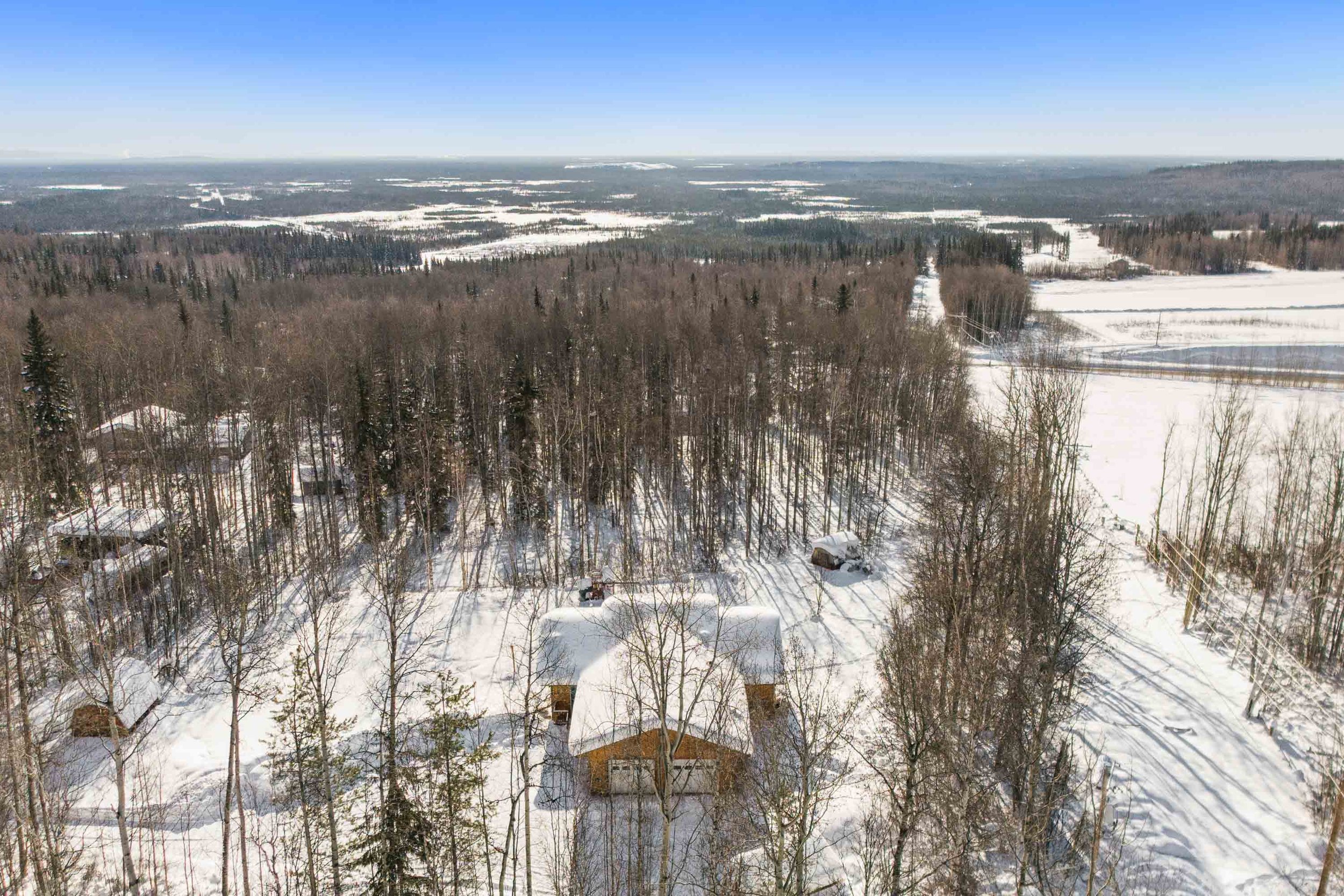 A snowy landscape featuring a large forest with some buildings at the bottom, a snow-covered road, and fields stretching into the distance under a clear blue sky.