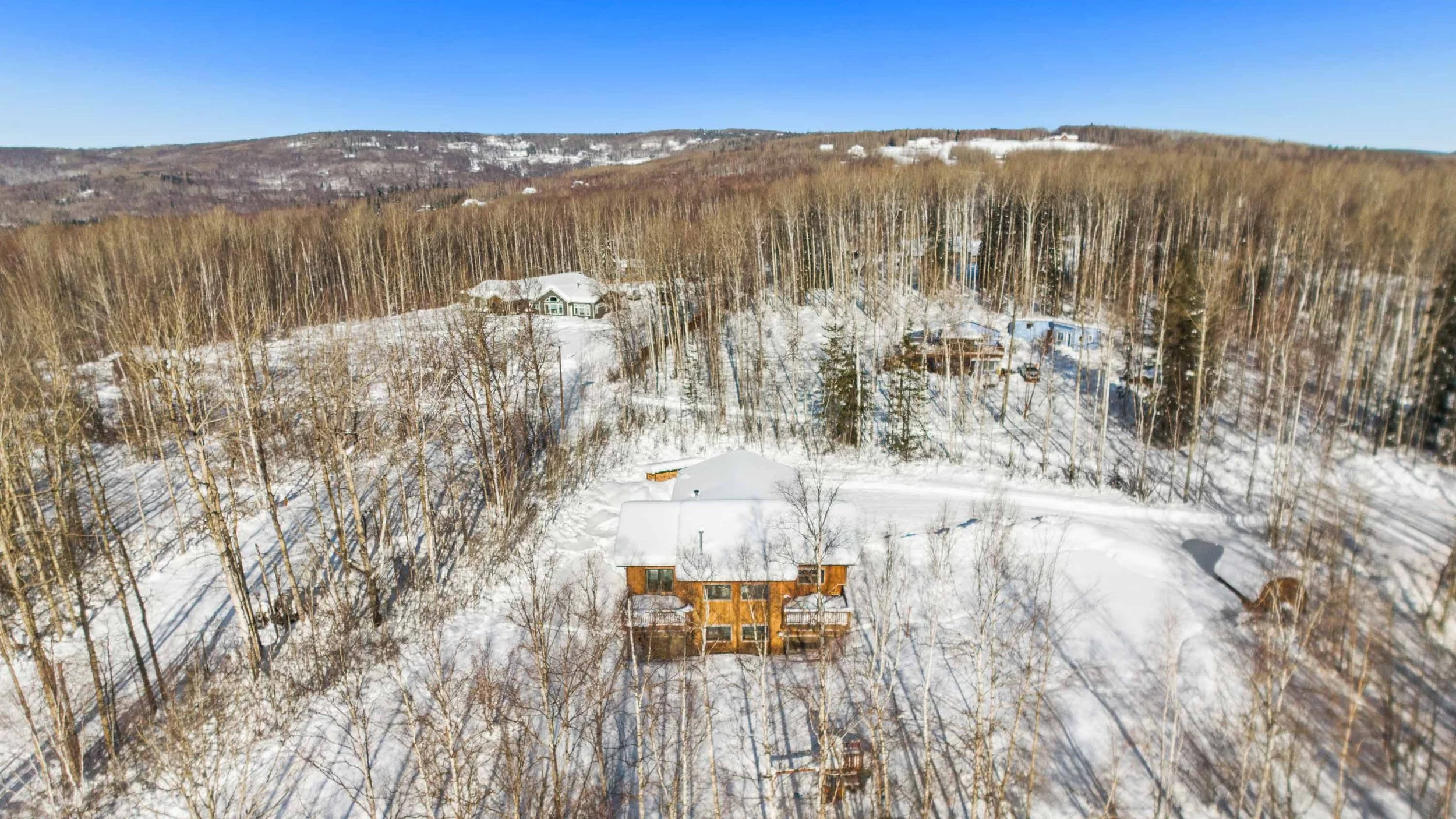 Aerial view of a snowy landscape with houses surrounded by tall, leafless trees and distant hills under a clear blue sky.