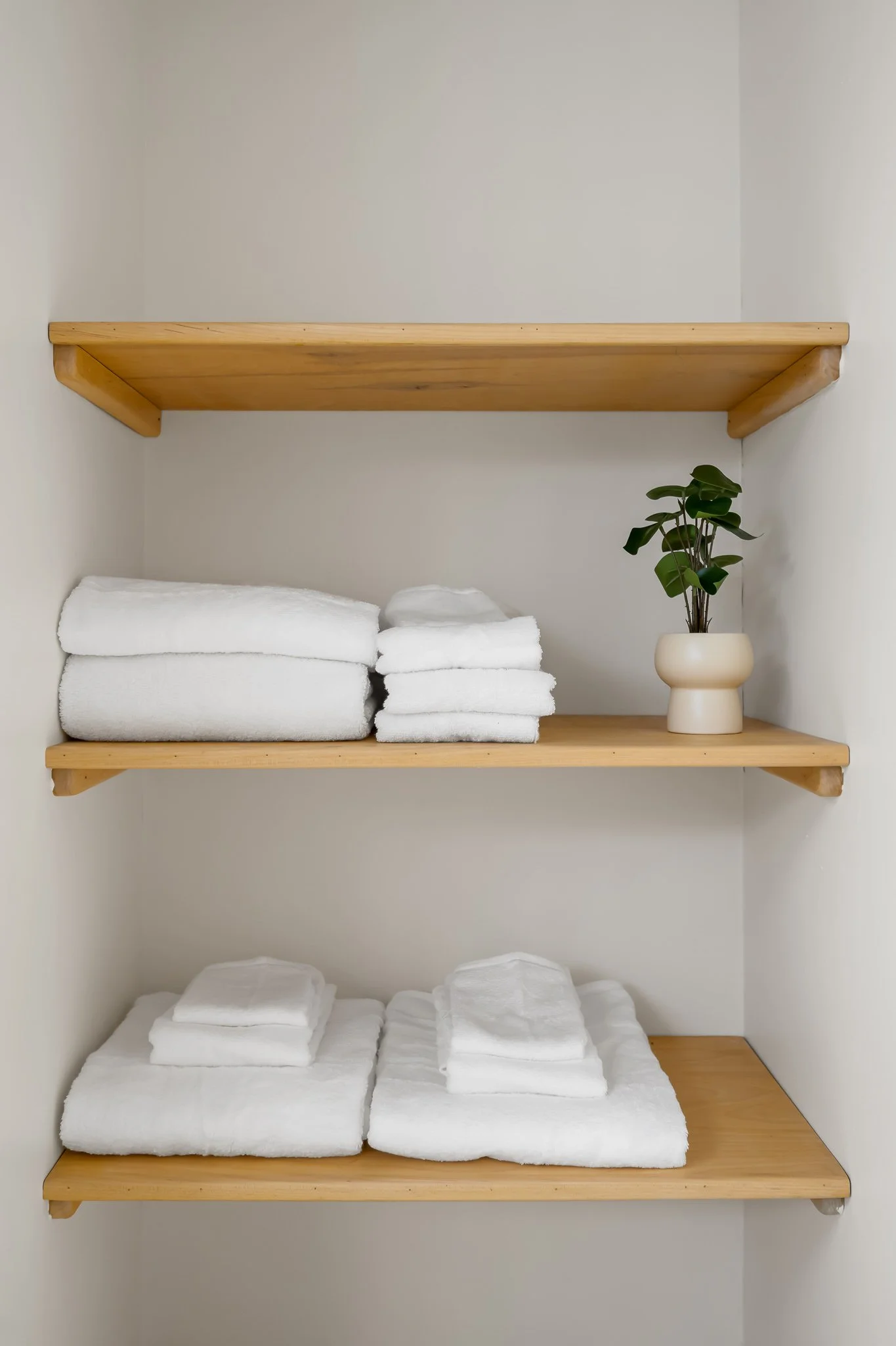 Clean and organized shelves with neatly folded white towels and a small potted plant on the right side, against a plain wall.