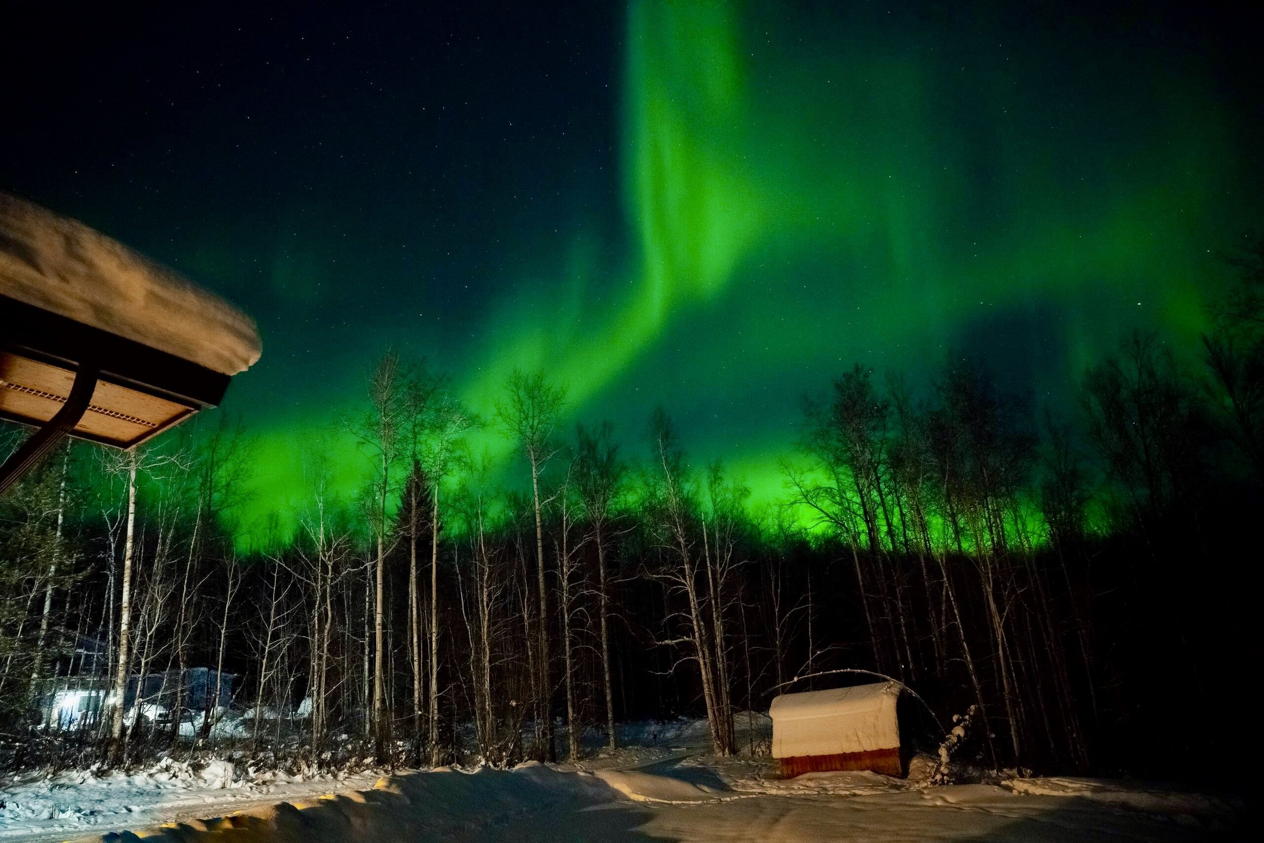 Northern lights (aurora borealis) glowing green in the night sky above a snowy landscape with trees and a small building.