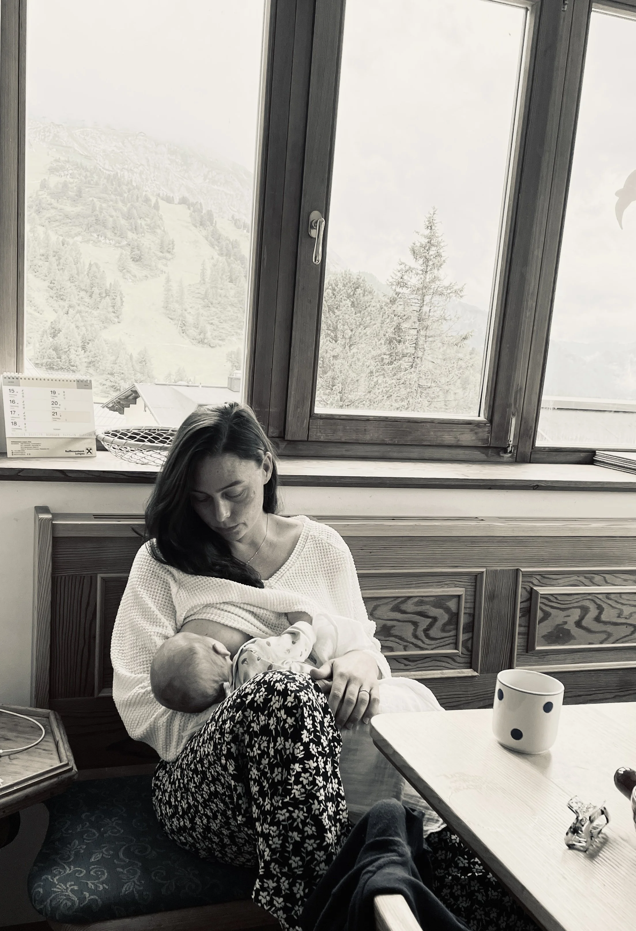 A woman holding a newborn baby breastfeeding in a cozy indoor setting near a window with a mountain view.